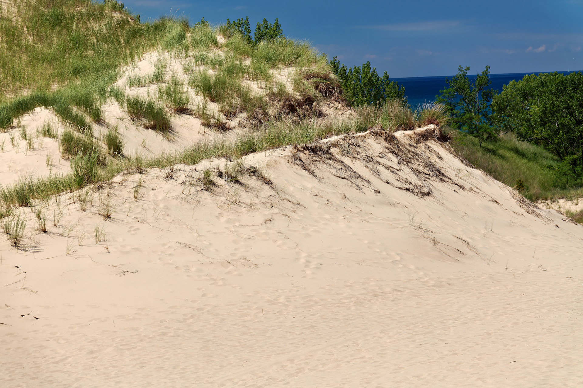 MI_New BuffaloArea_20160808_0145_PS.tif