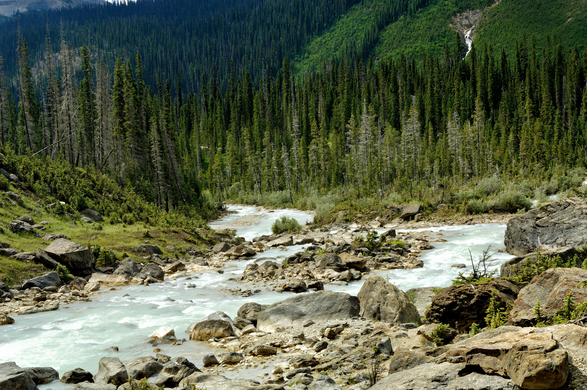 CN_20060803_0345_PS.dng