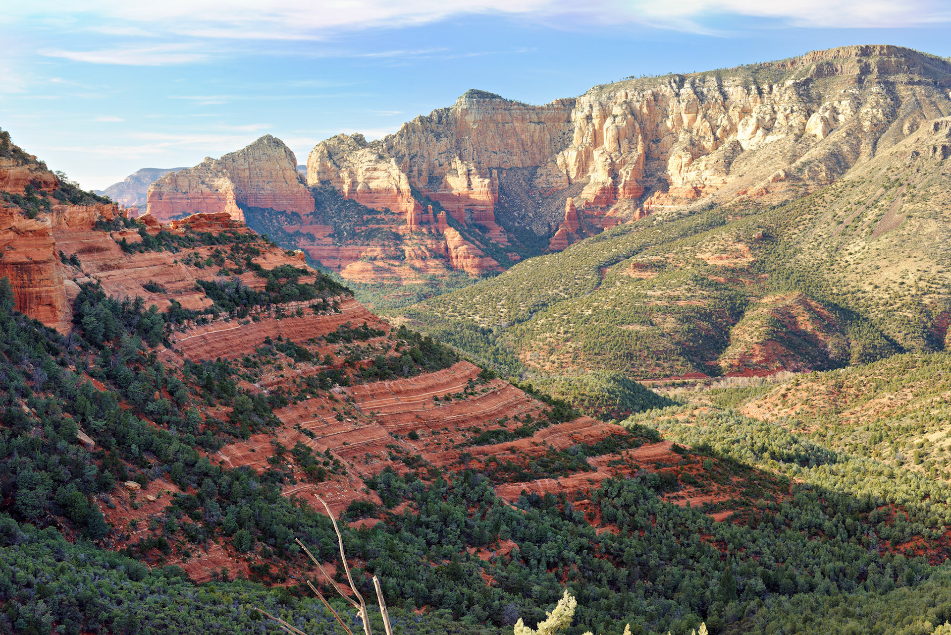 AZ_20121211_0532_PS.dng