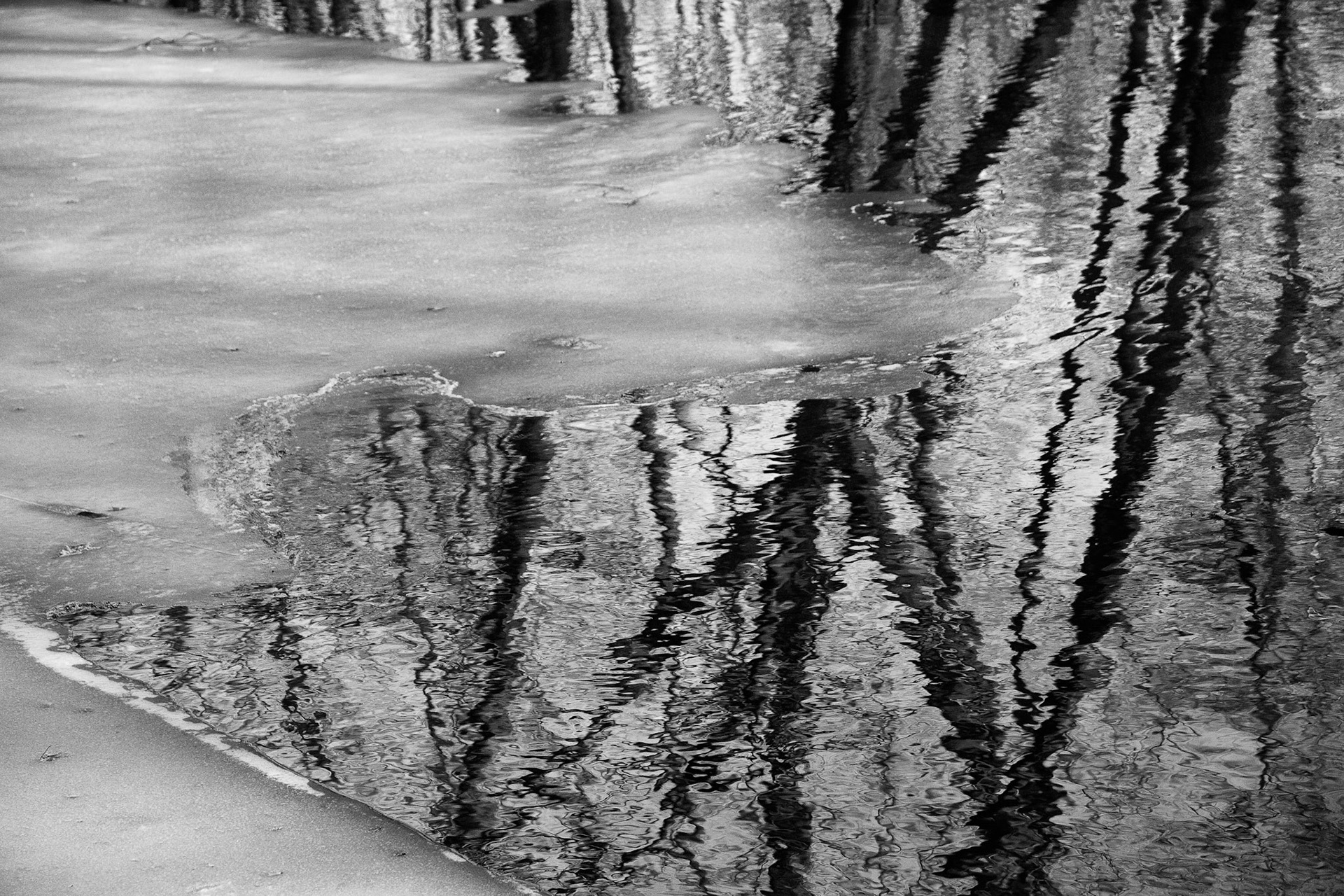 Black &amp; White 00121