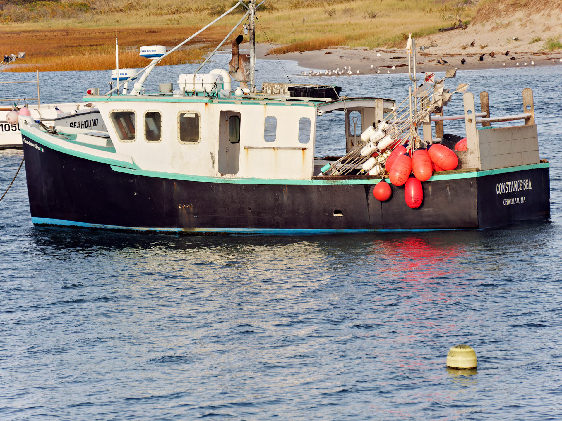 MA_CapeCod_20151029_0338_PS.dng