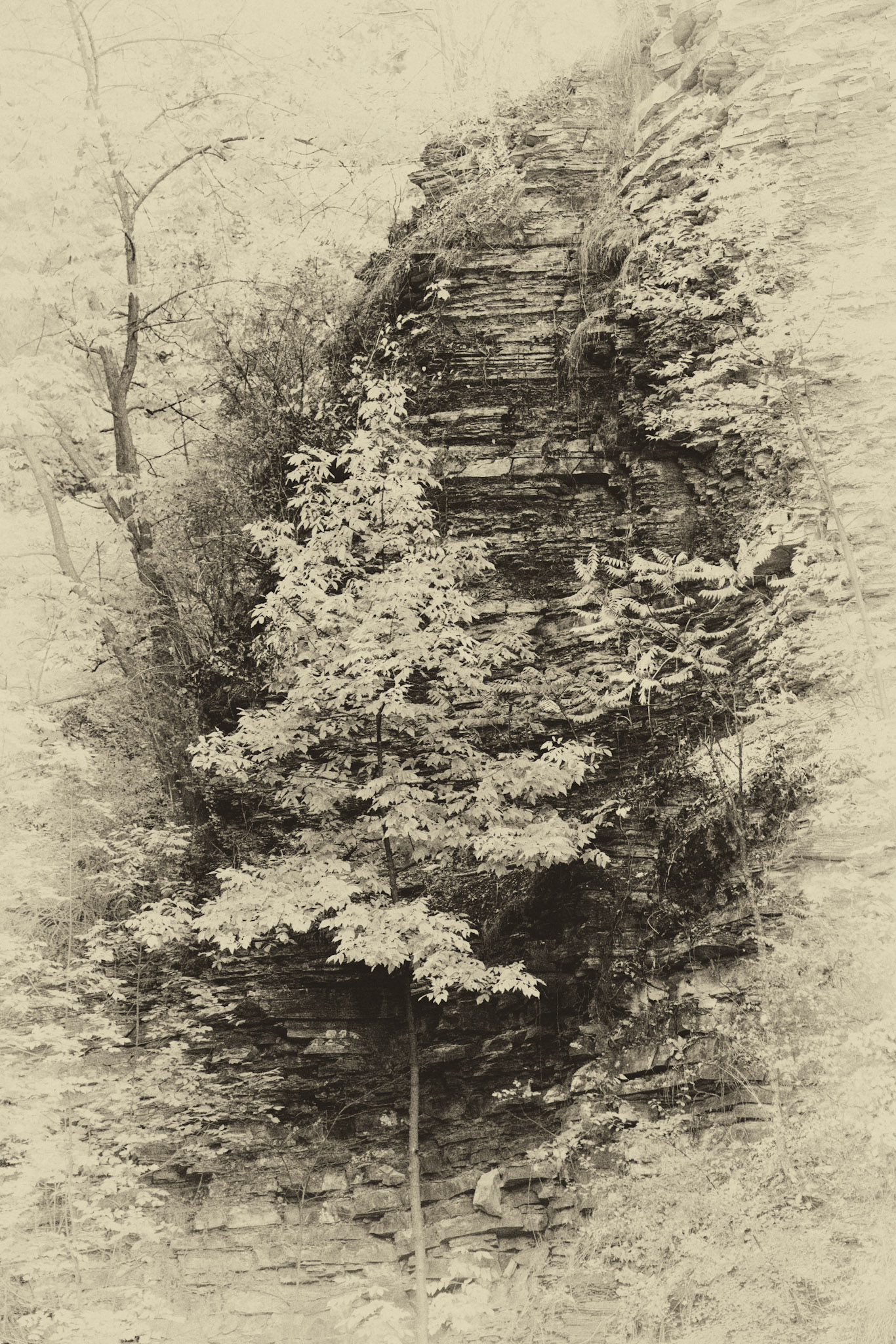 Black &amp; White 00218