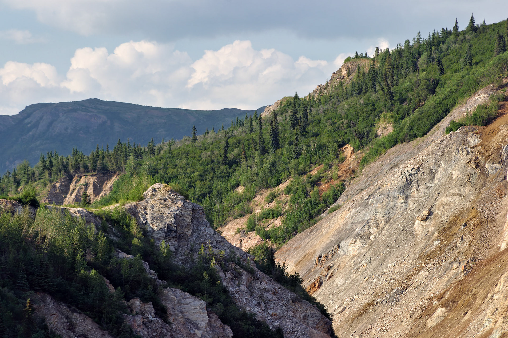 AK_20030807_0871_PS.dng