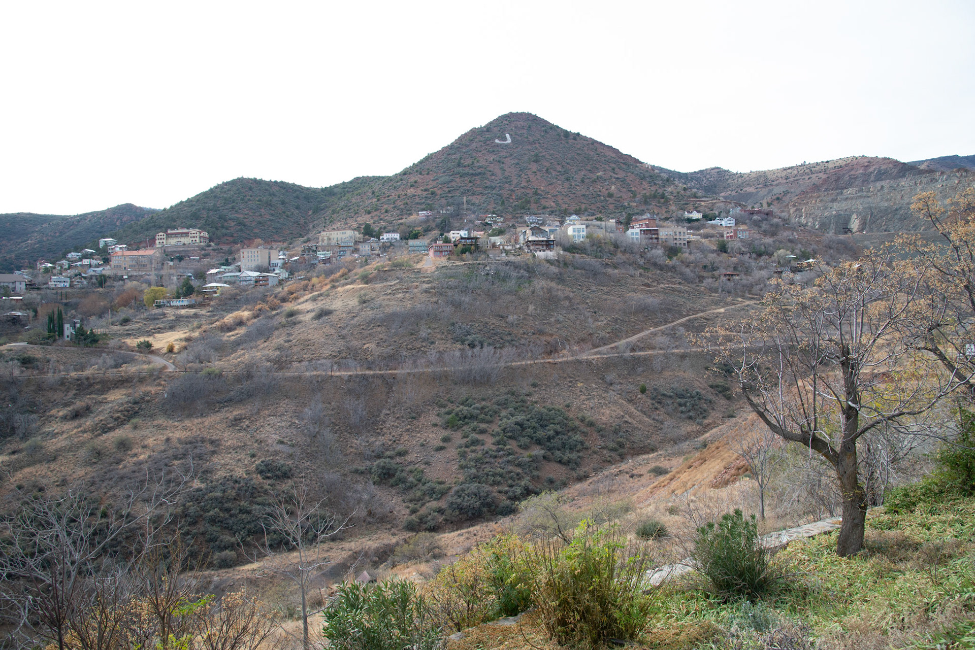 20121212_a847.NEF