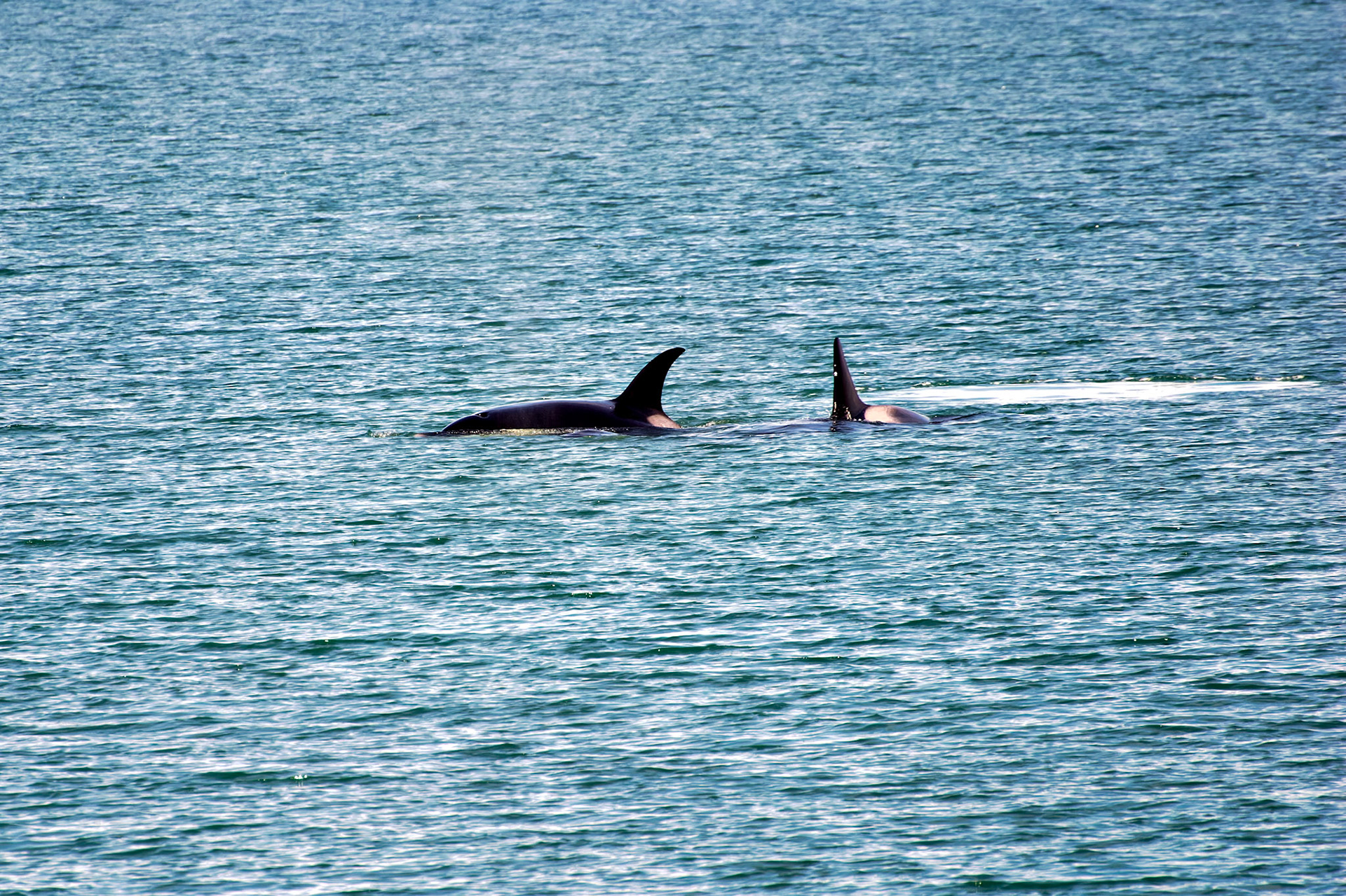 AK_20030731_0181_PS.dng