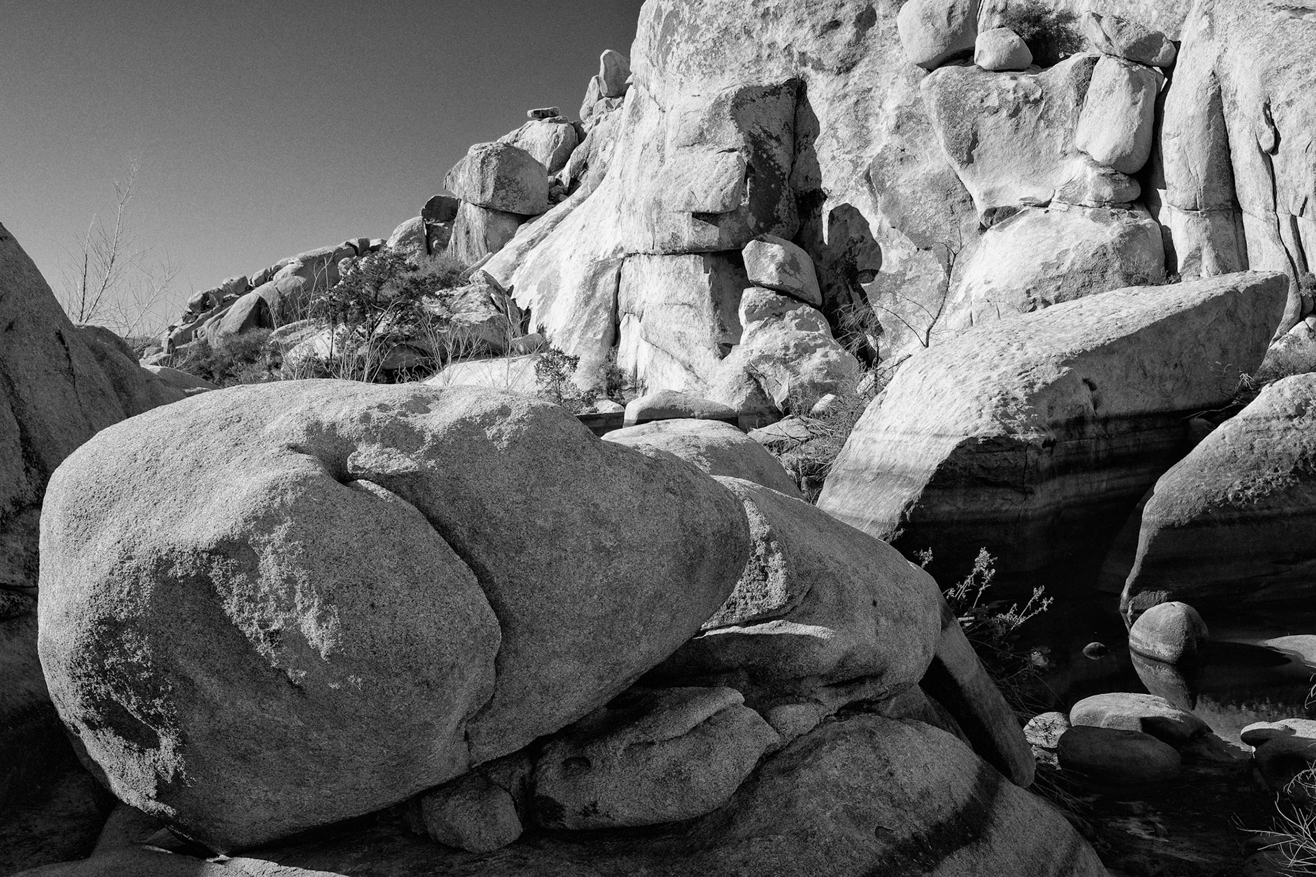 Black &amp; White Photos