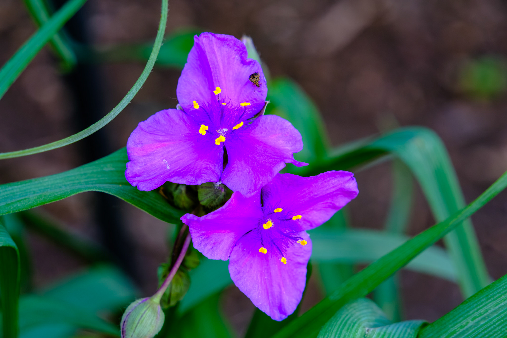 20240523__FXT0643_PS