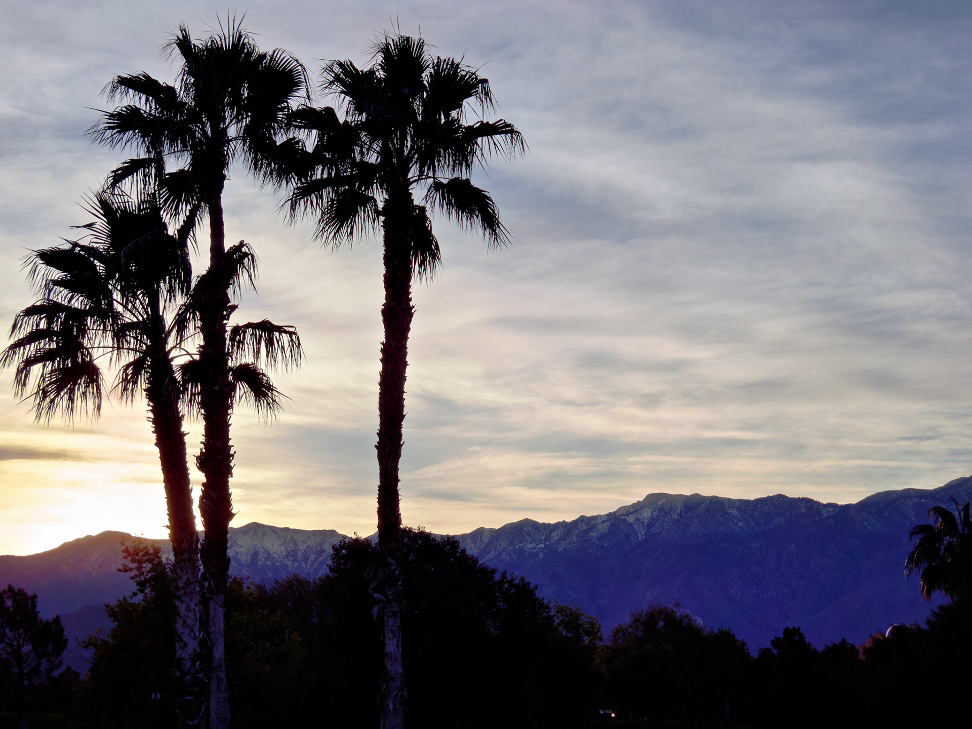 CA_LA_20090111_0368_PS.dng