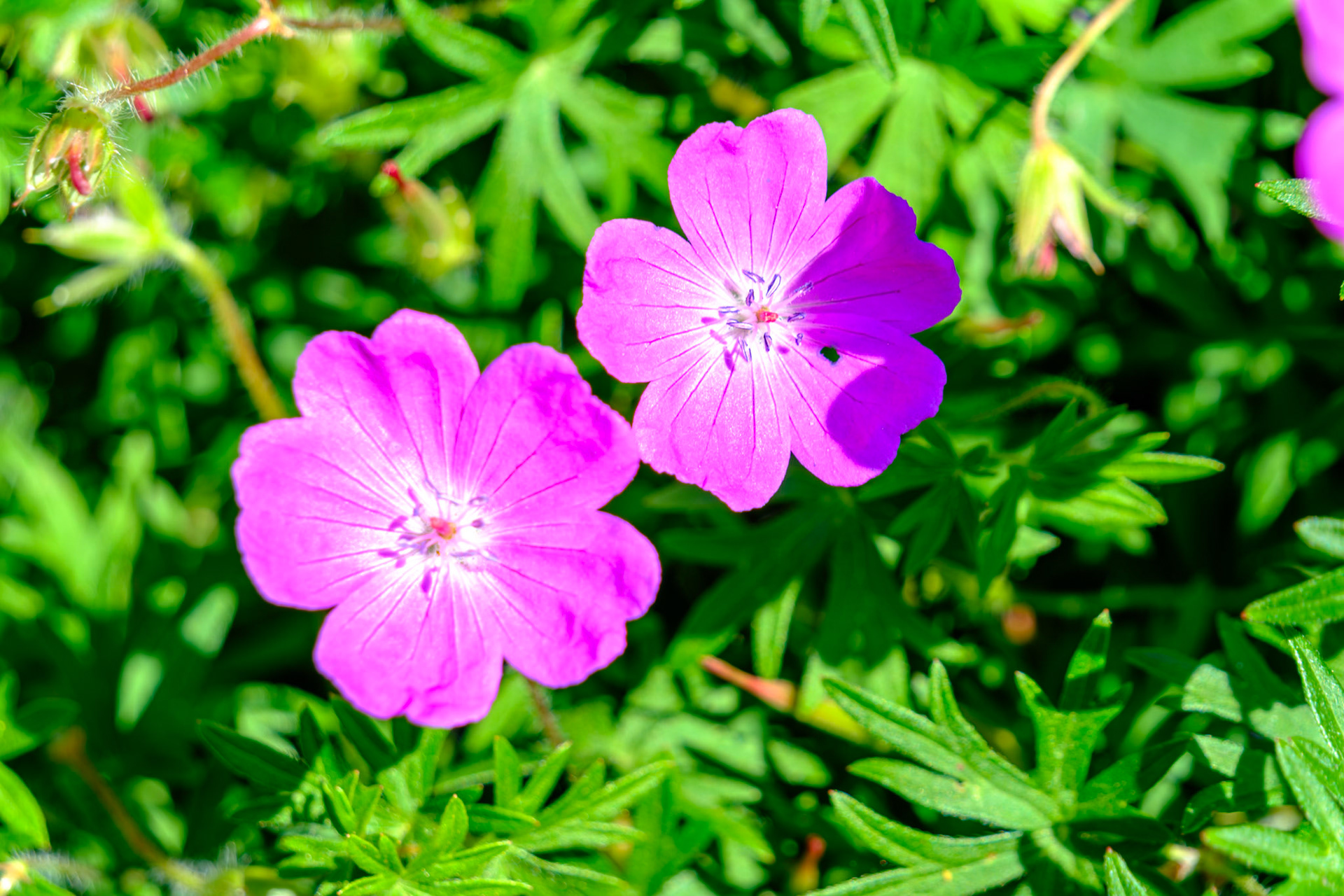 20240523__FXT0688_PS