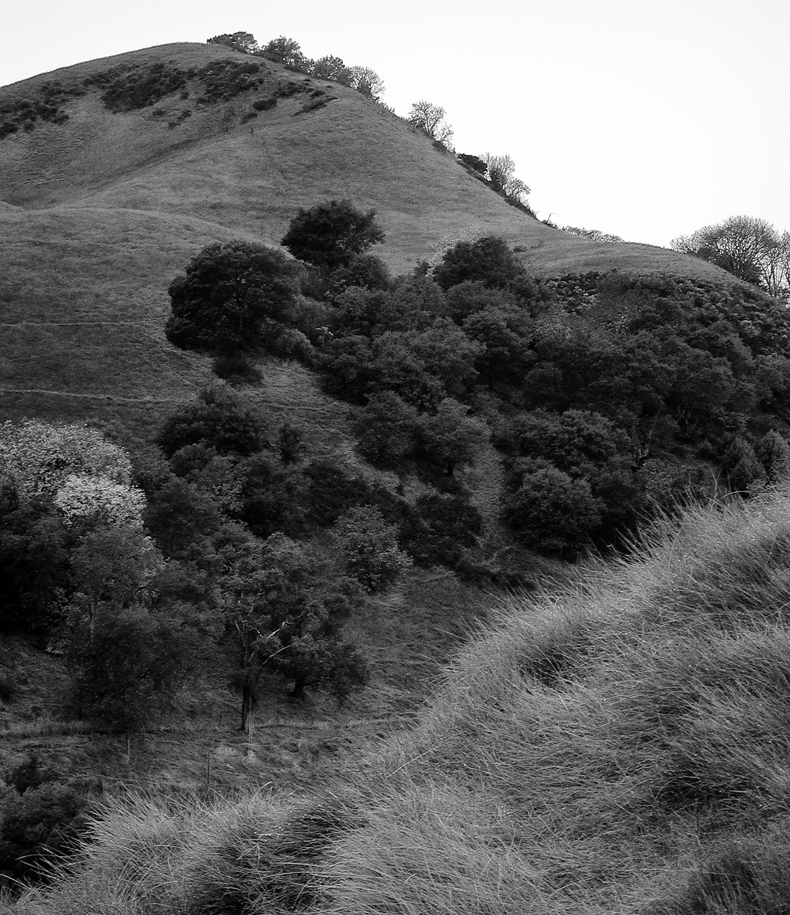 Black &amp; White 00035