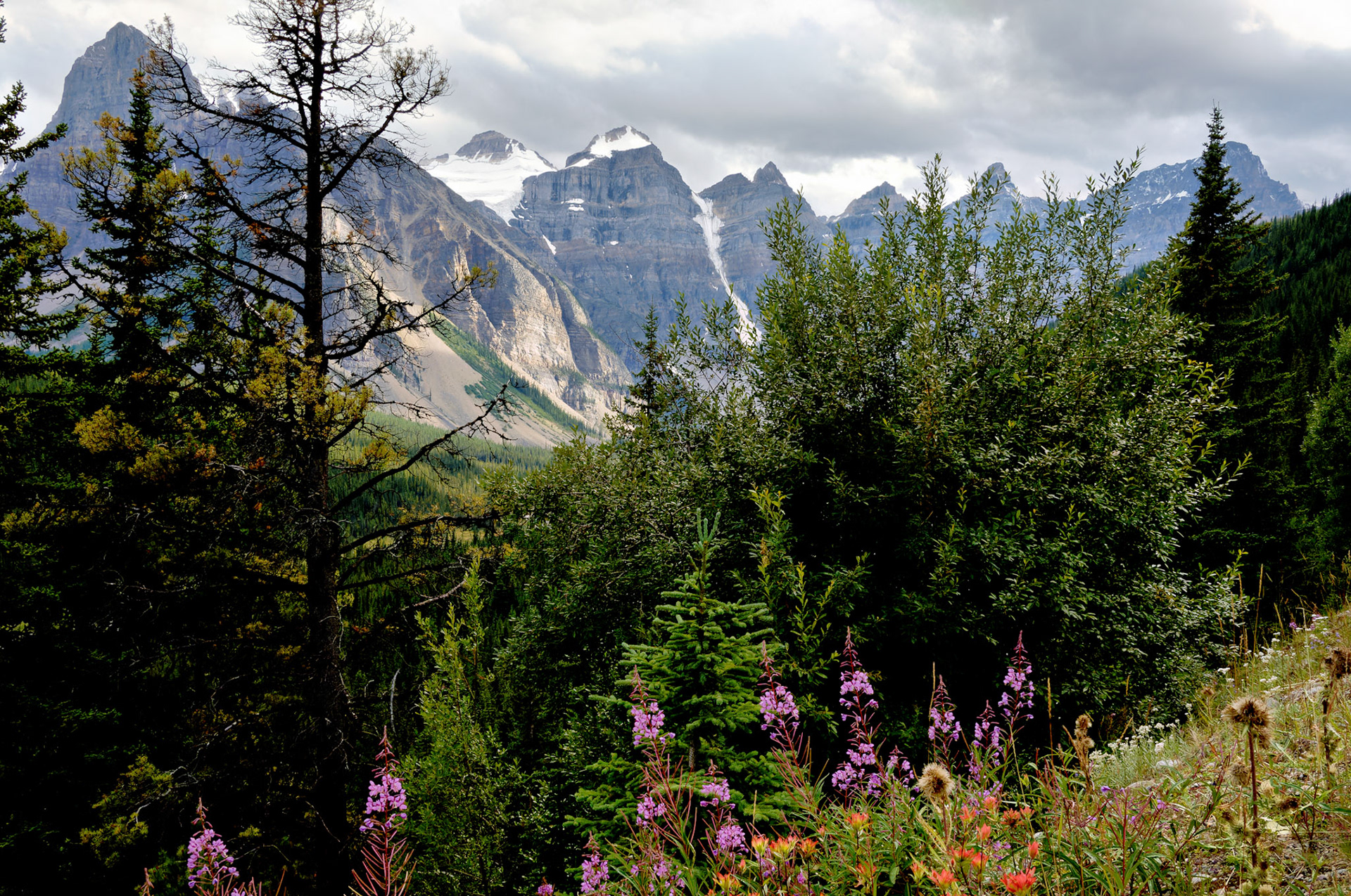 CN_20060801_0091_PS.dng