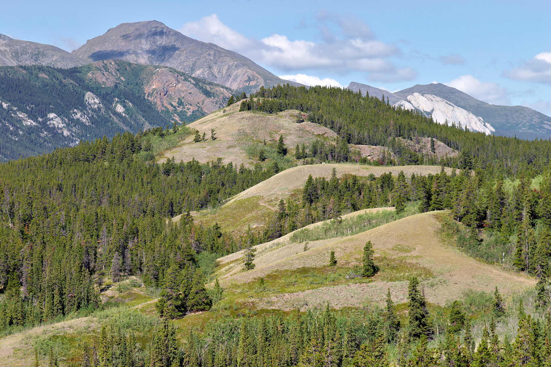 AK_20030801_0290_PS.dng