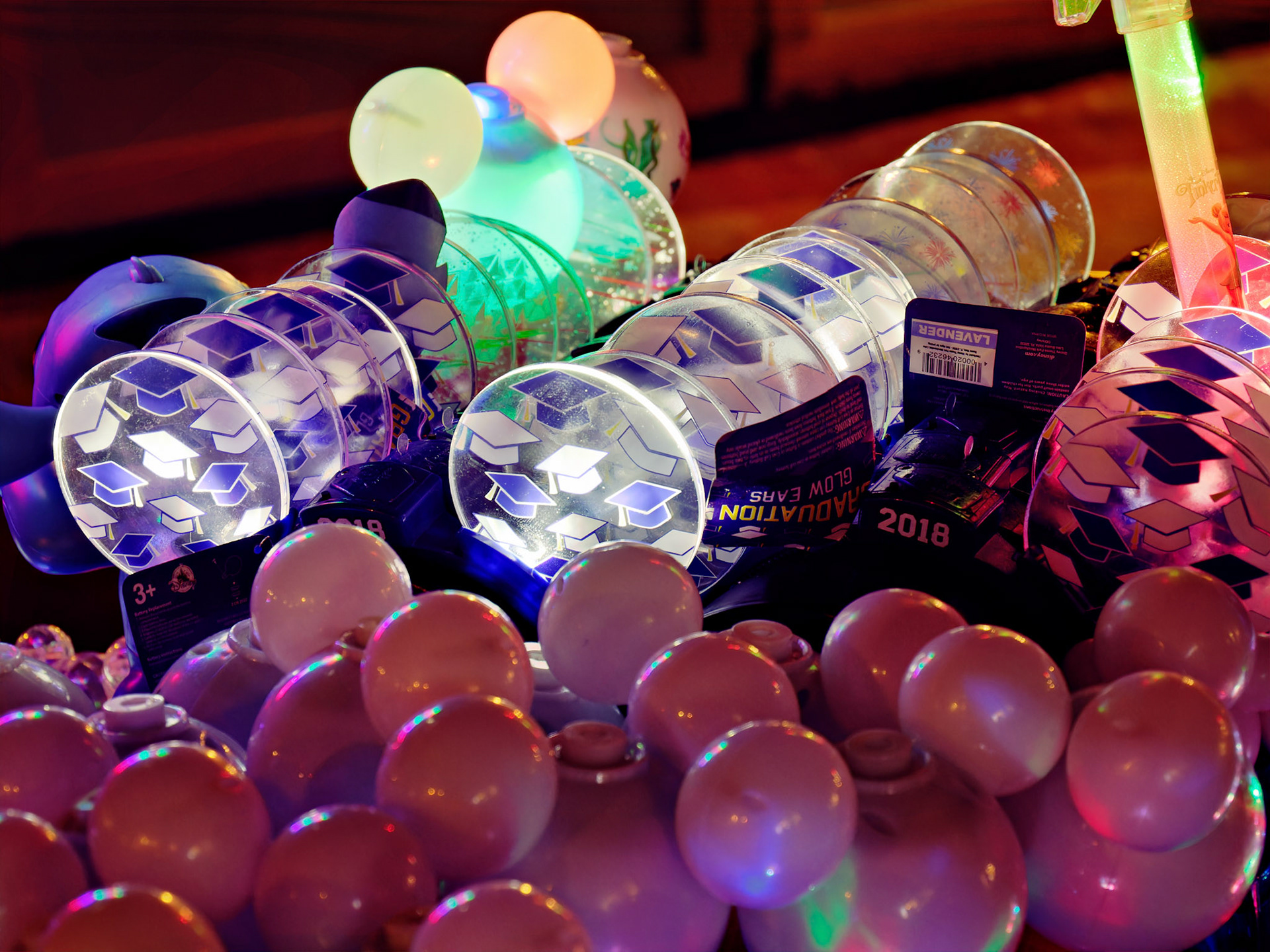 FL_Disney_20180422_0043_PS.dng