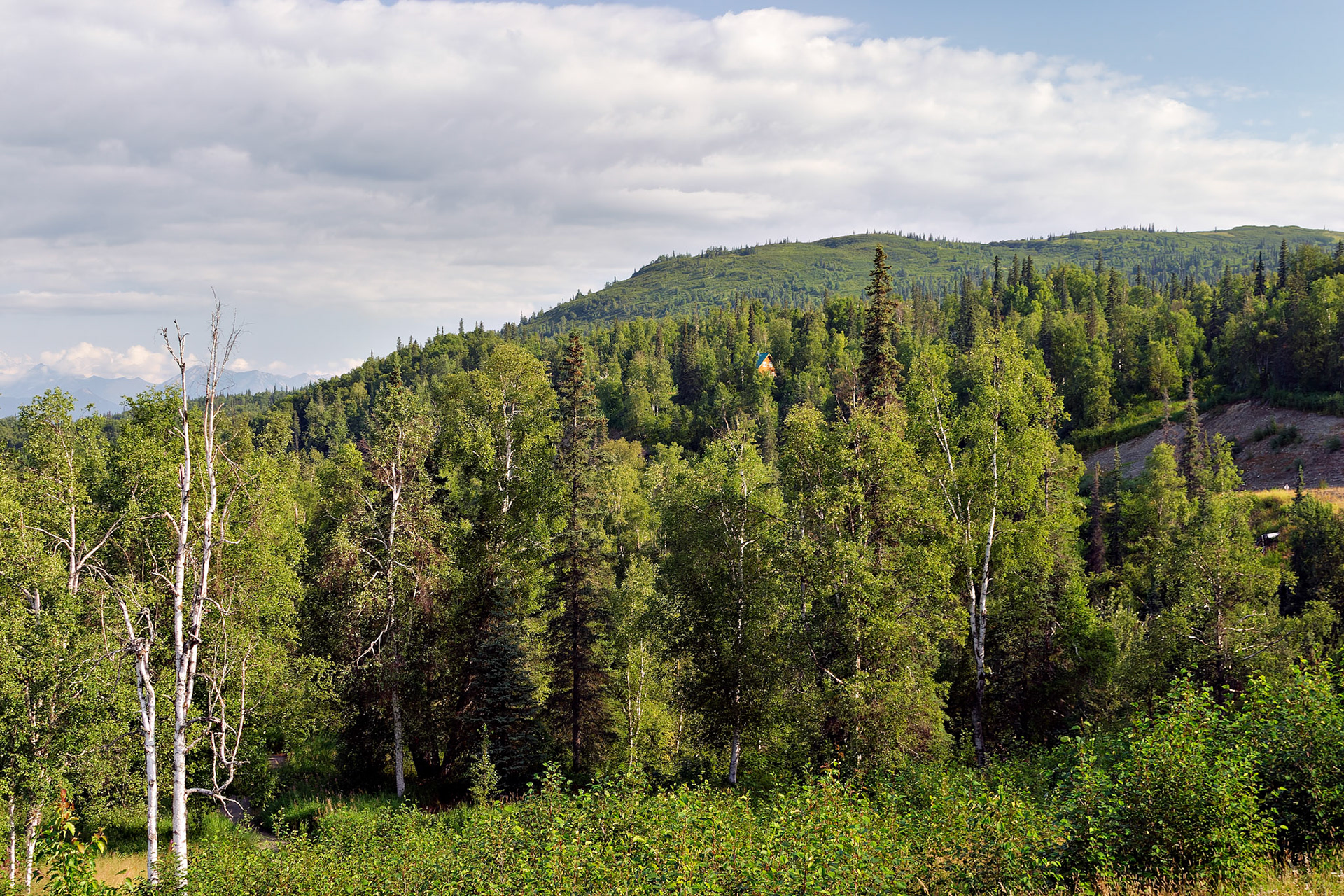 AK_20030806_0674_PS.dng