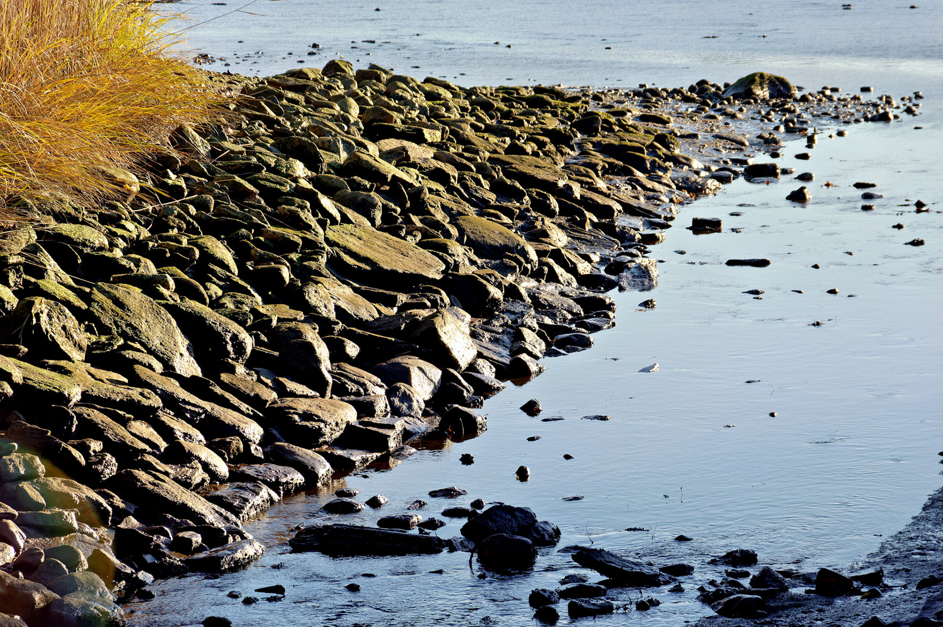 CT_20051102_0056_PS.dng