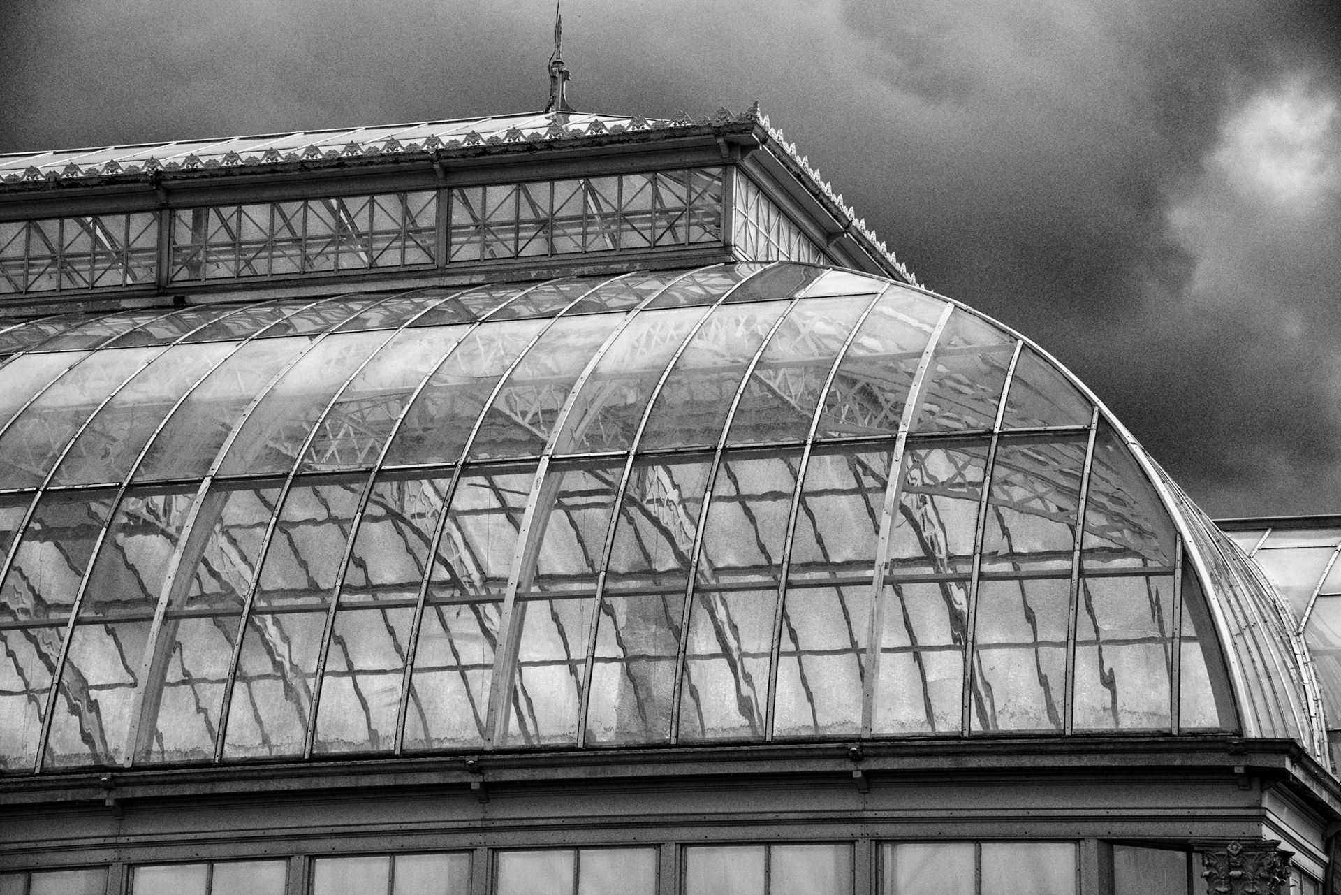 Black &amp; White 00225