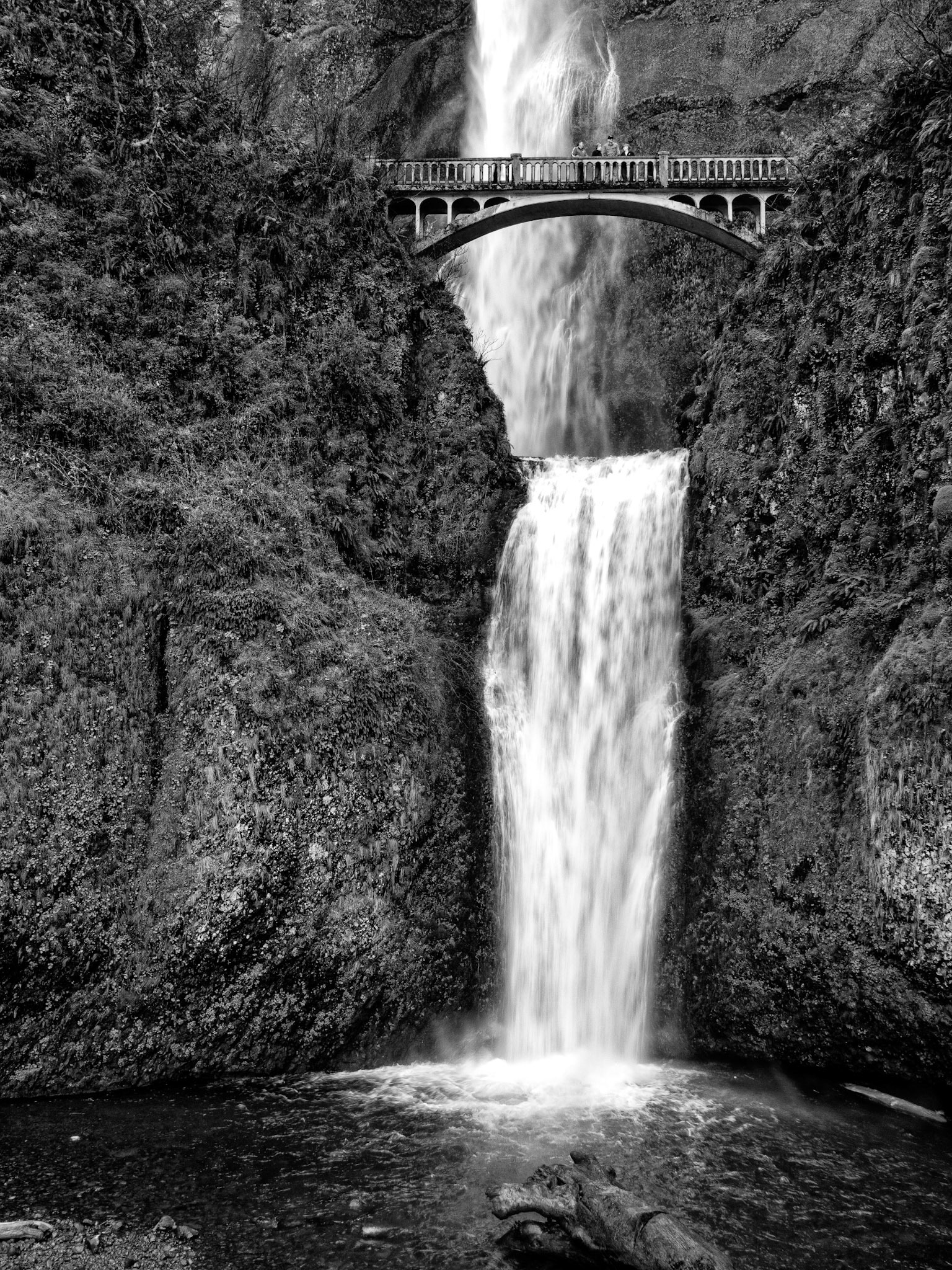 Black &amp; White 00164