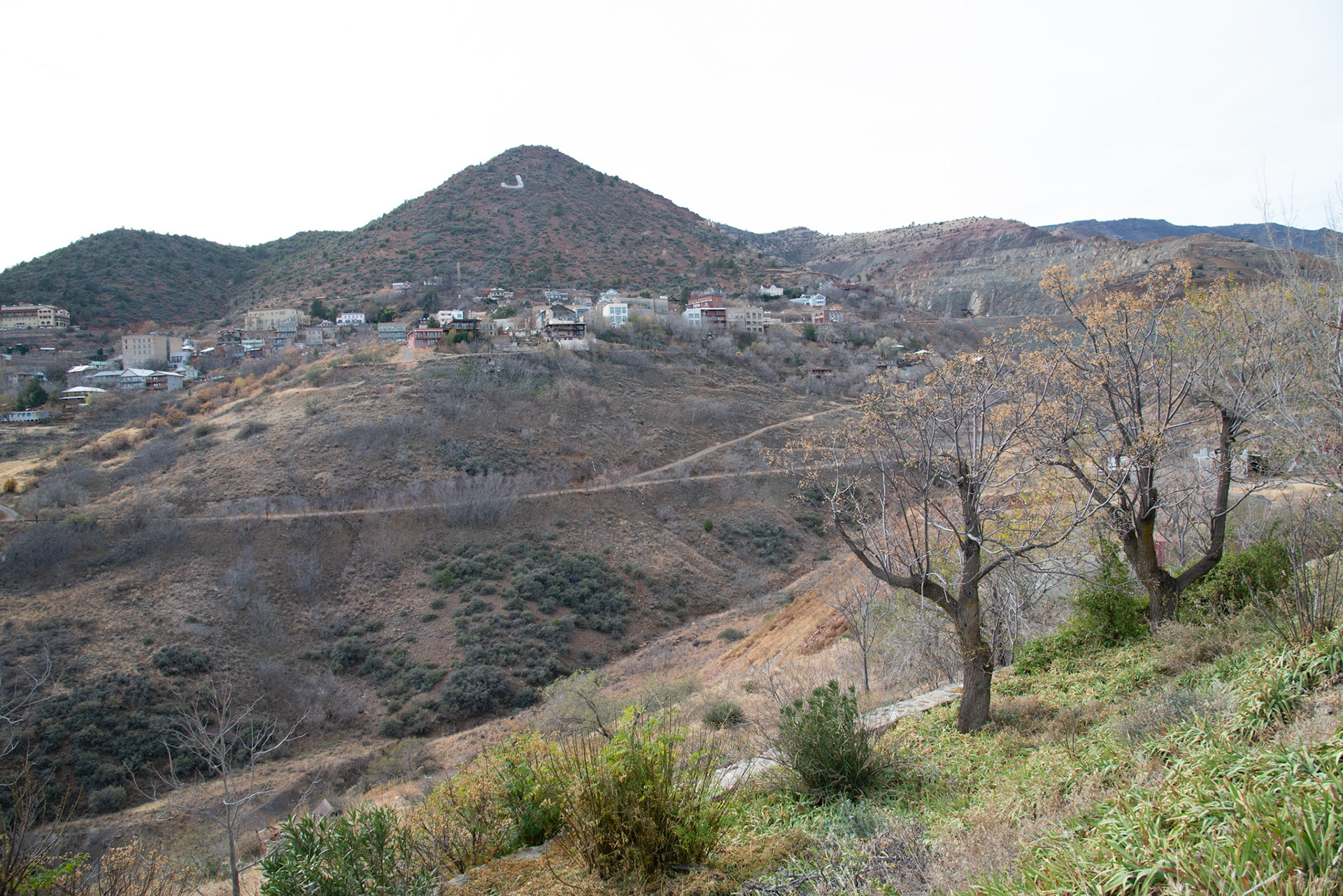 20121212_a846.NEF