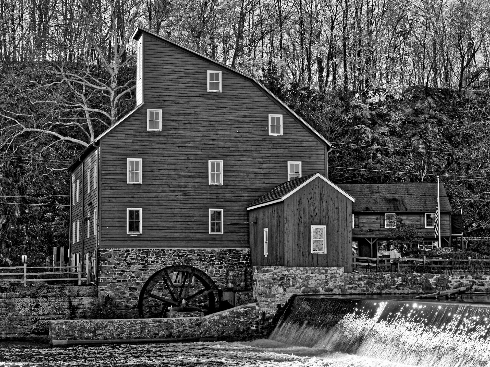 Black &amp; White 00020