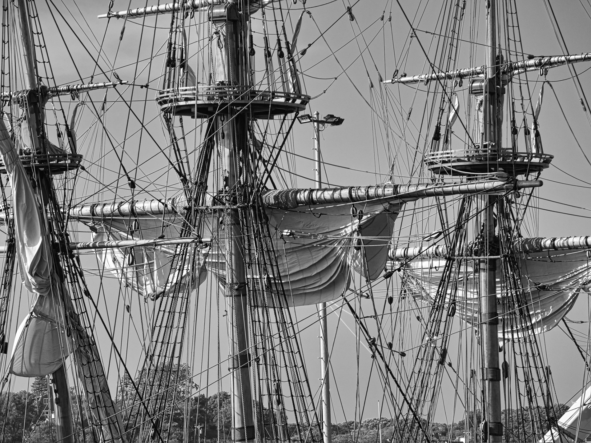 Black &amp; White 00307