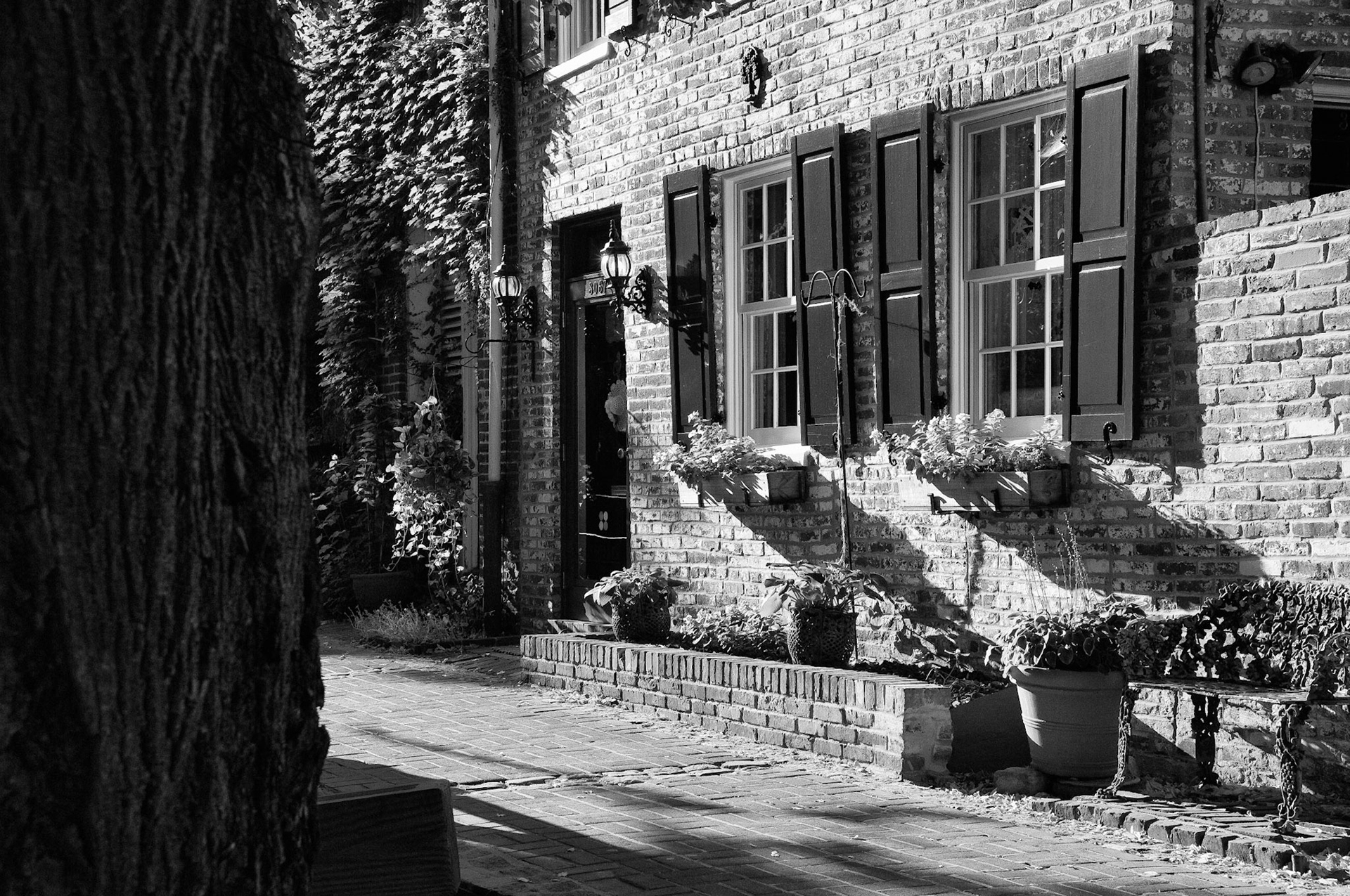 Black &amp; White 00081