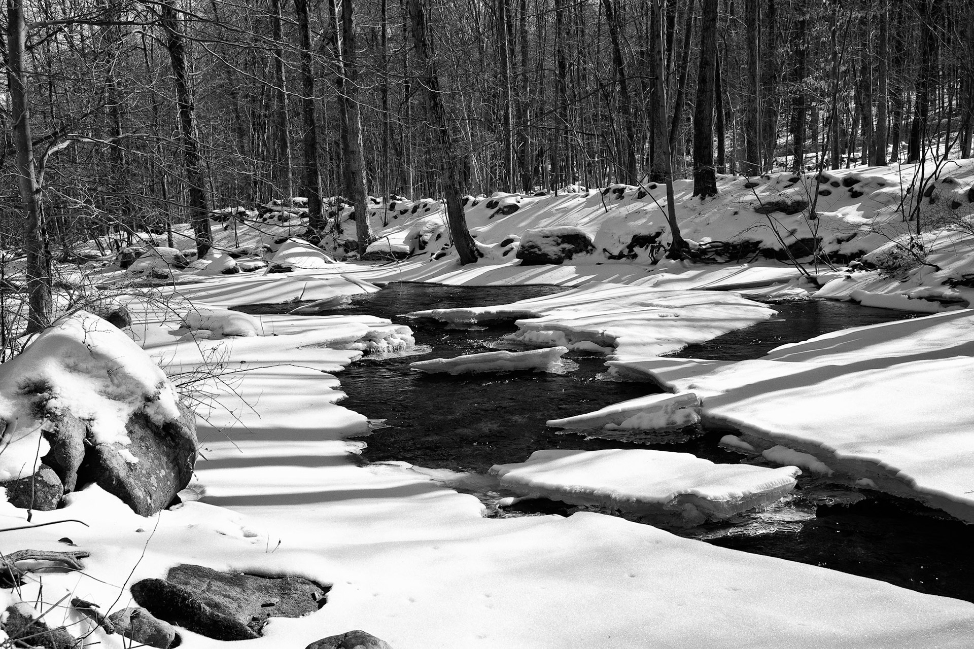 Black &amp; White 00111