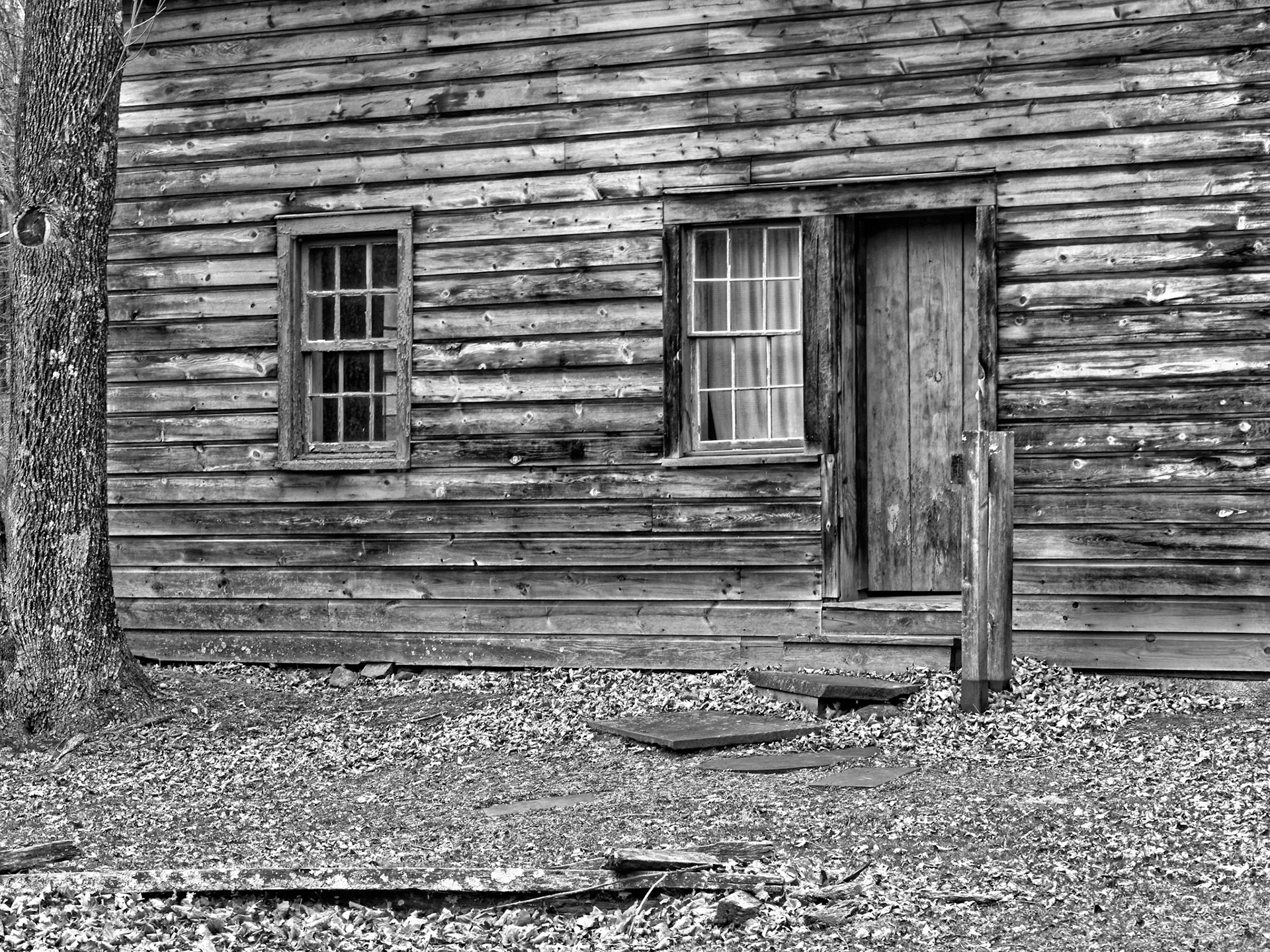 Black &amp; White 00018