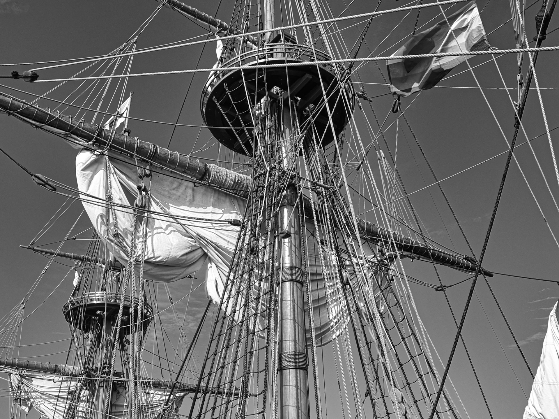 Black &amp; White 00310