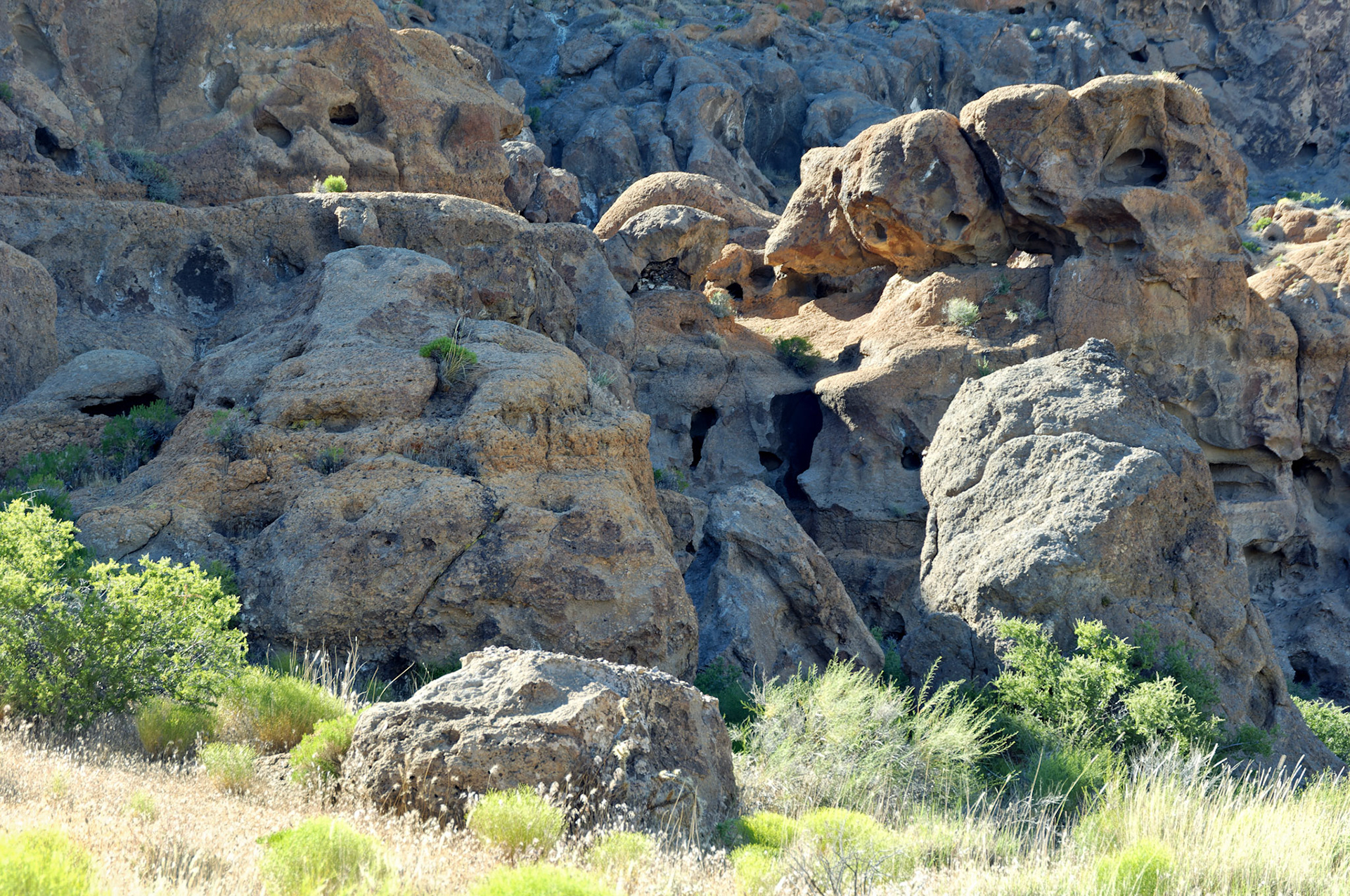 CA_20050614_0178_PS.dng