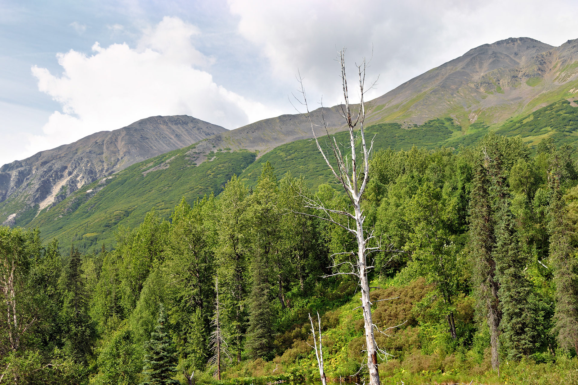 AK_20030807_0799_PS.dng