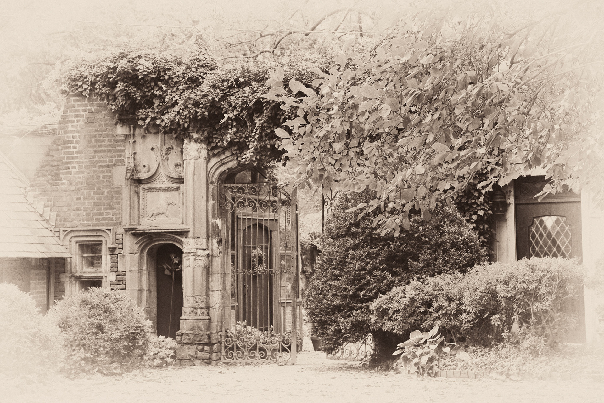 Black &amp; White 00125