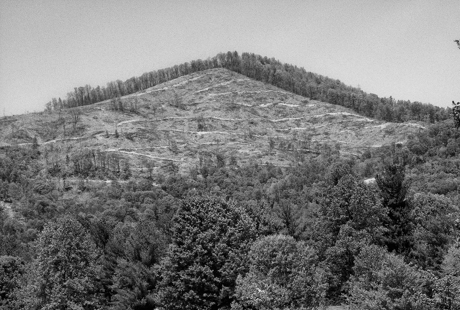 Black &amp; White Photos