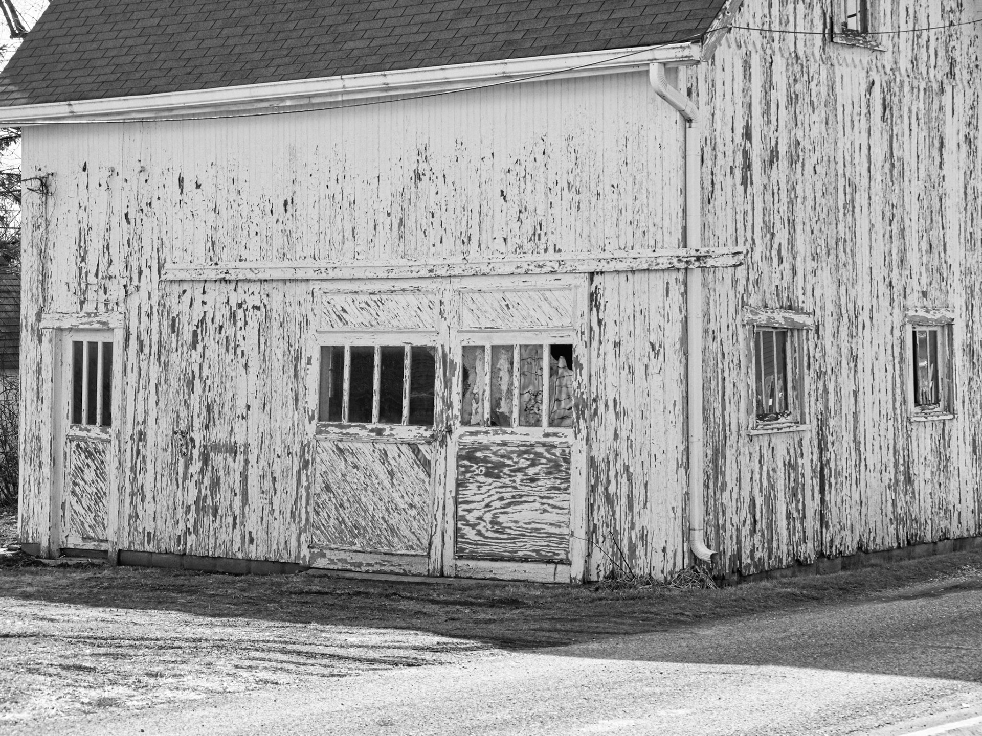 Black &amp; White 00255