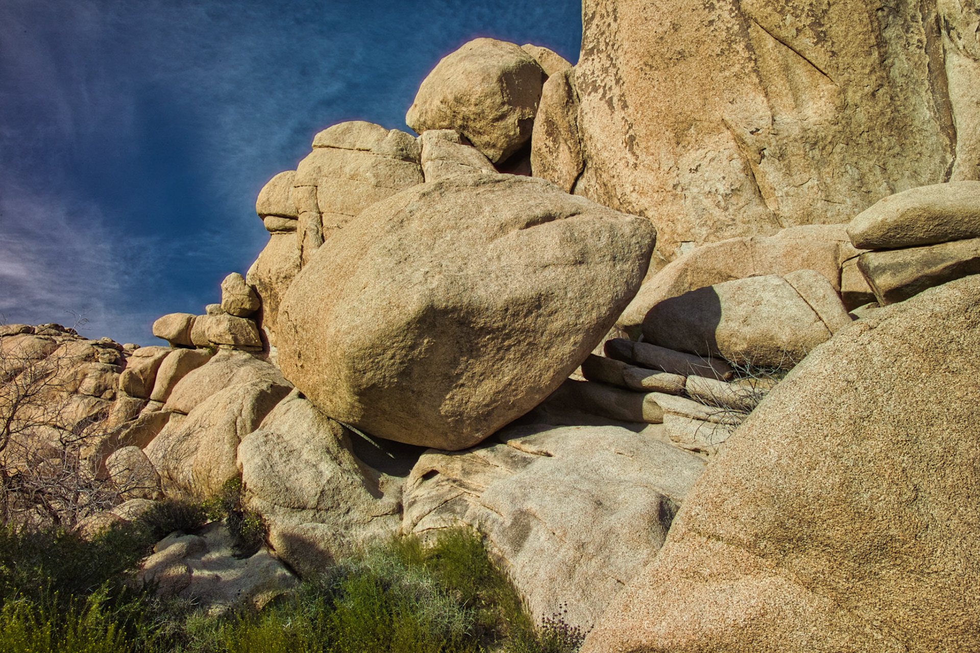 California Joshua Tree 00039