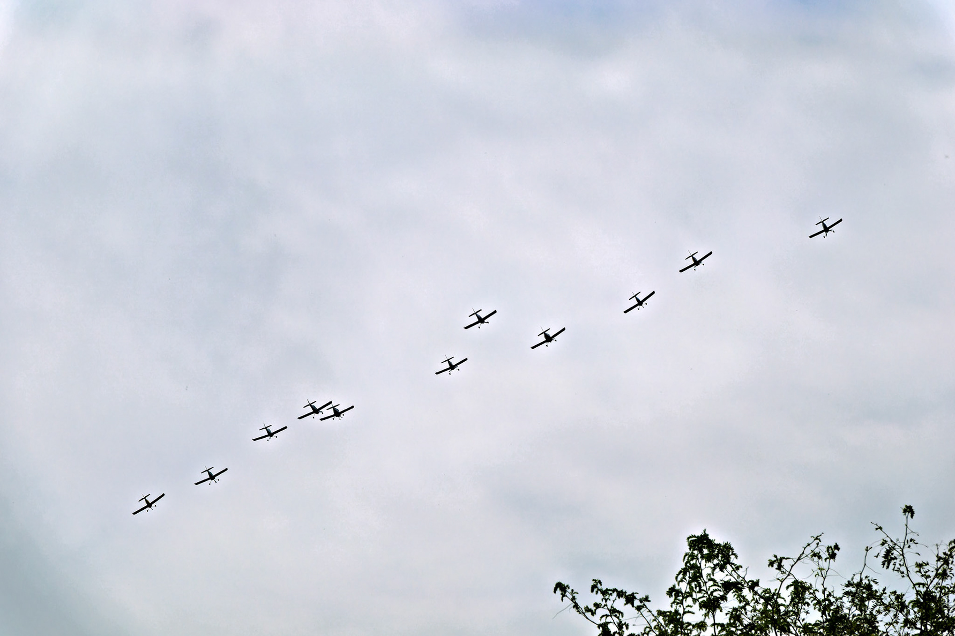 Aerials_20190726_0443_PS.dng