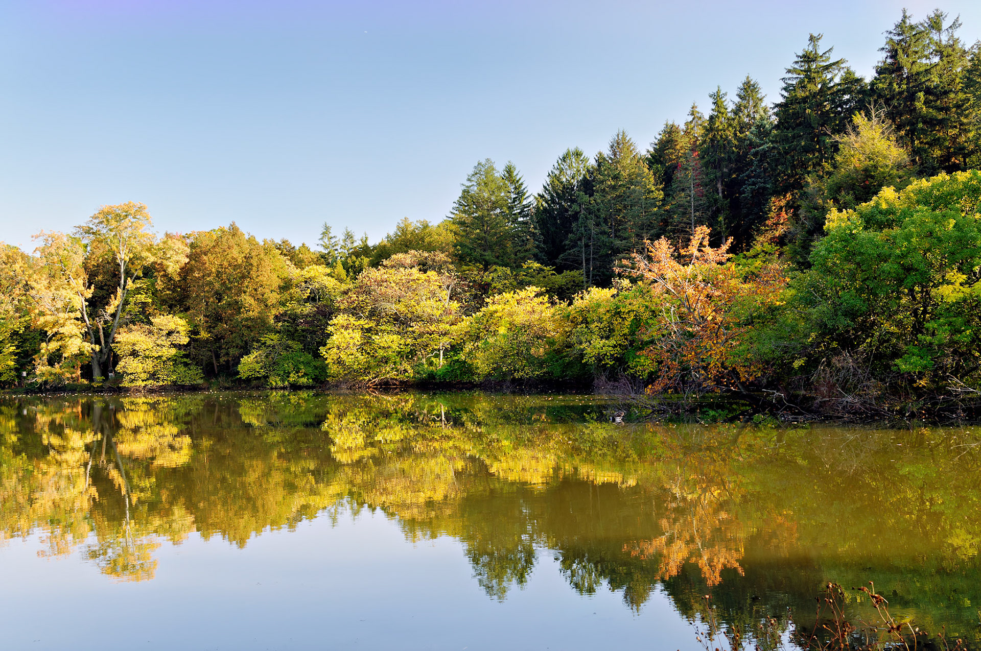 IL_Morton Arboretum_20081011_0327_PS.tif