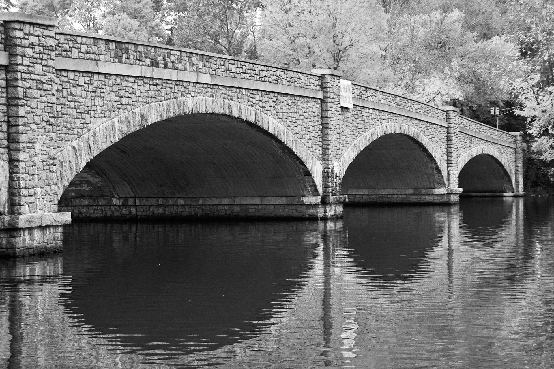 Black &amp; White Photos