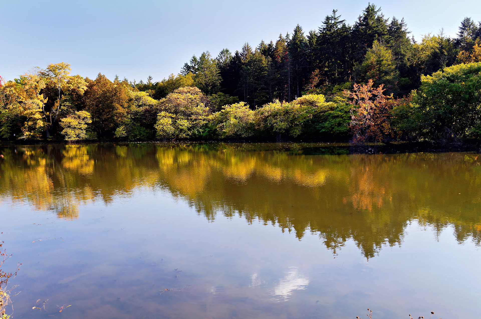 IL_Morton Arboretum_20081011_0300_PS.tif