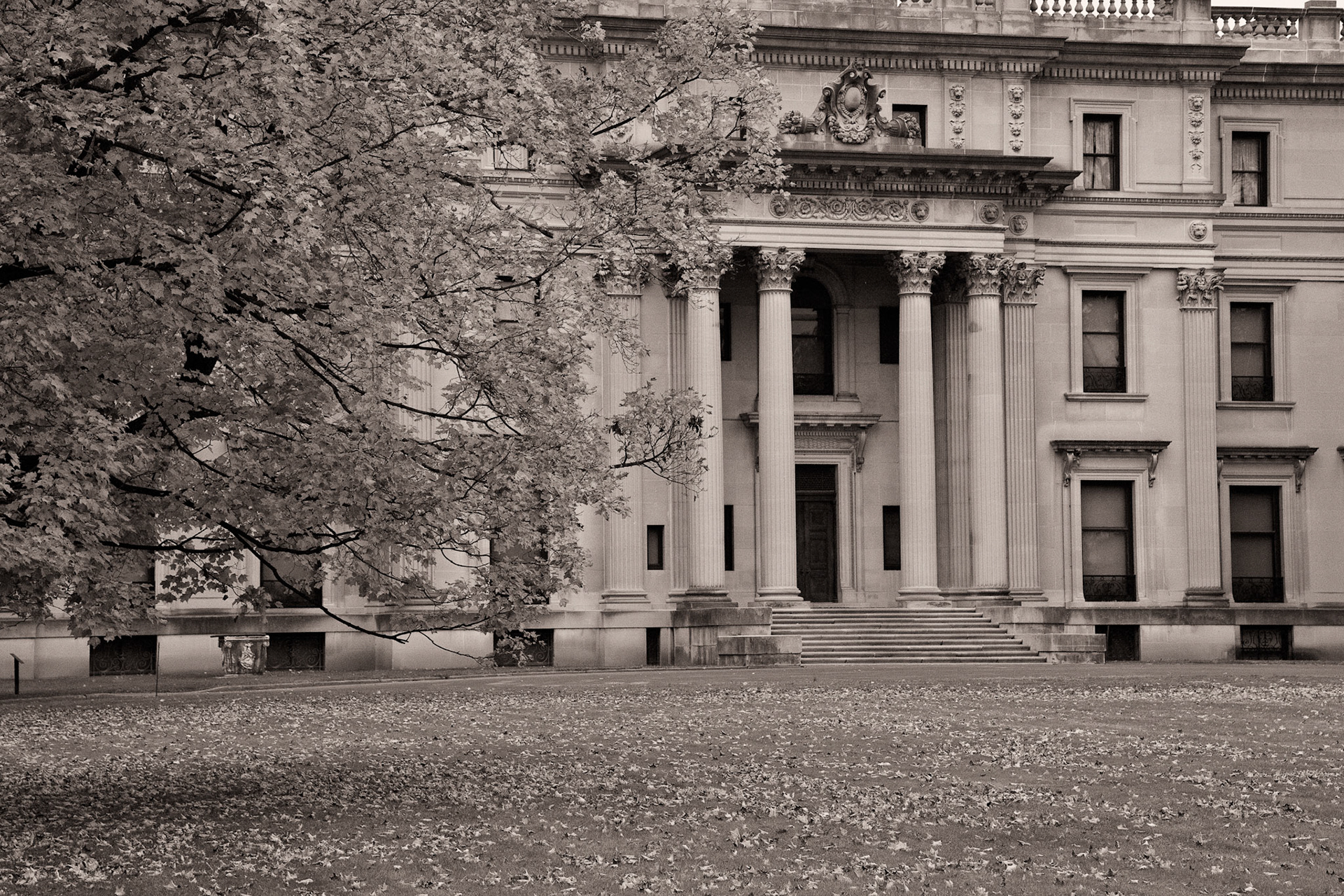 Black &amp; White Photos