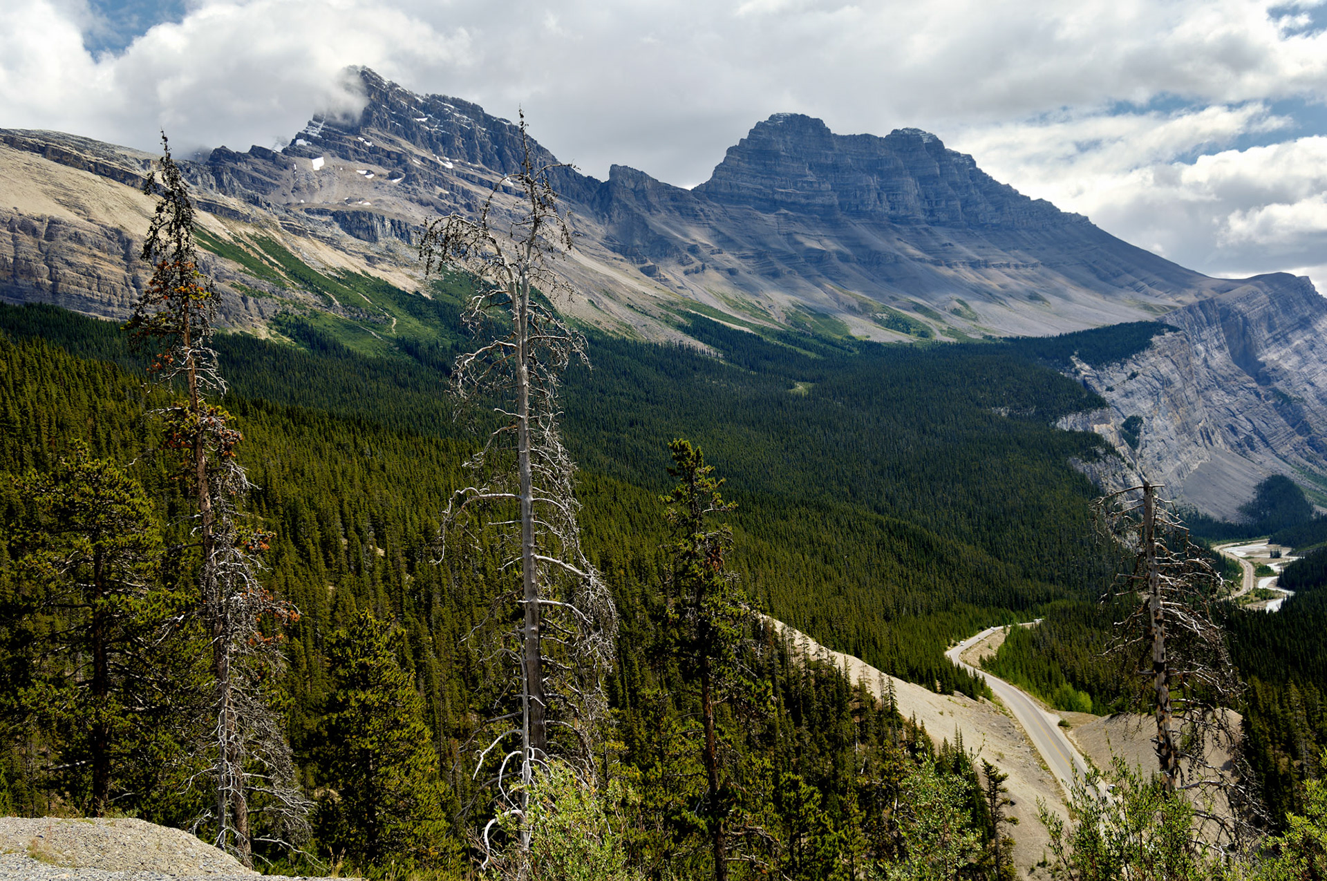 CN_20060802_0194_PS.dng