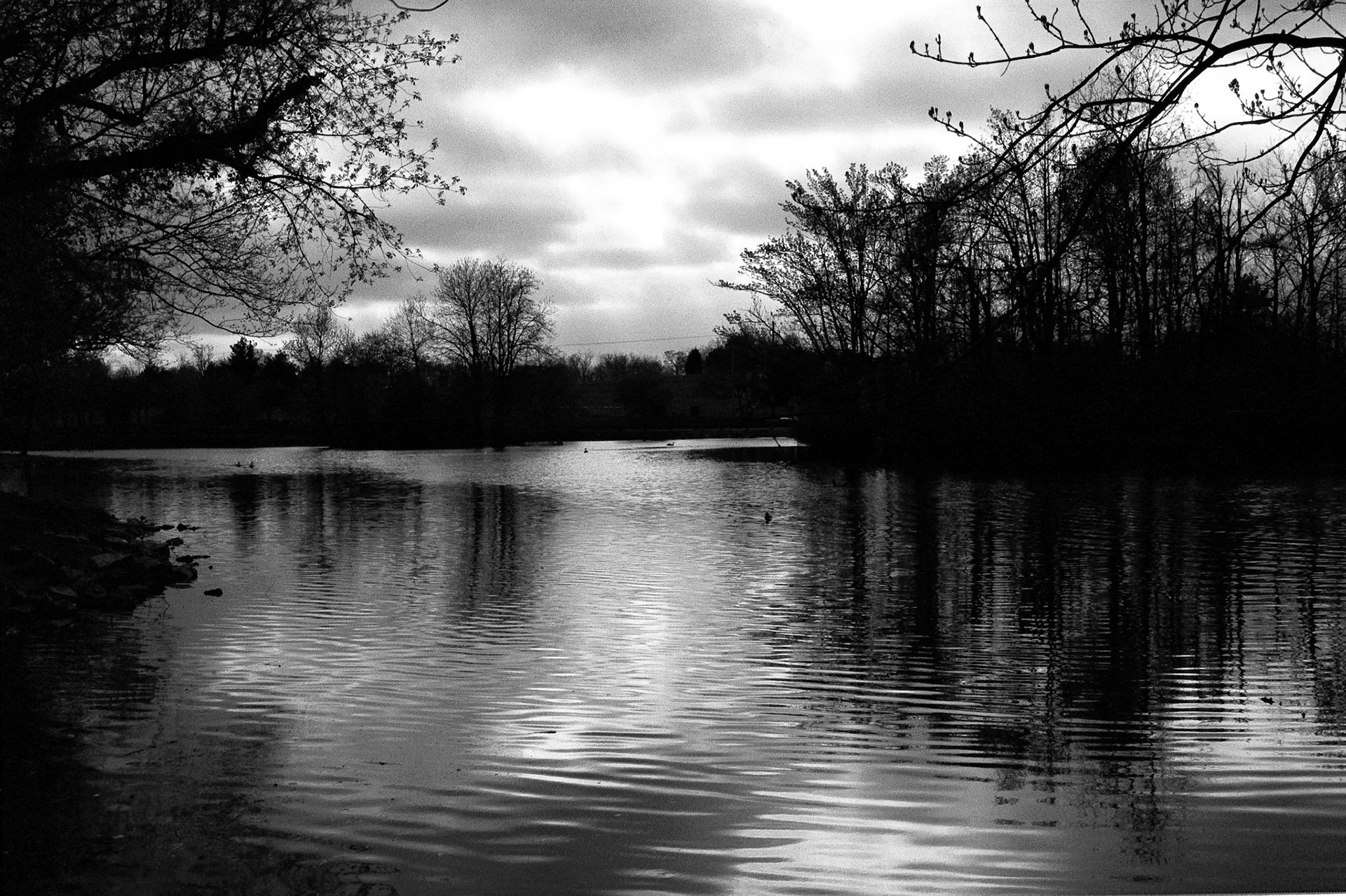 Black &amp; White Photos