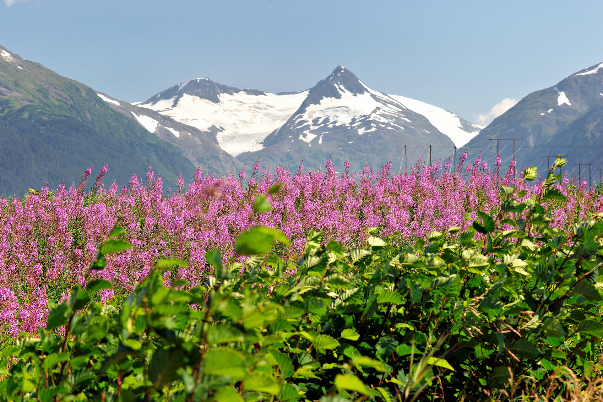 AK_20030804_0574_PS.dng