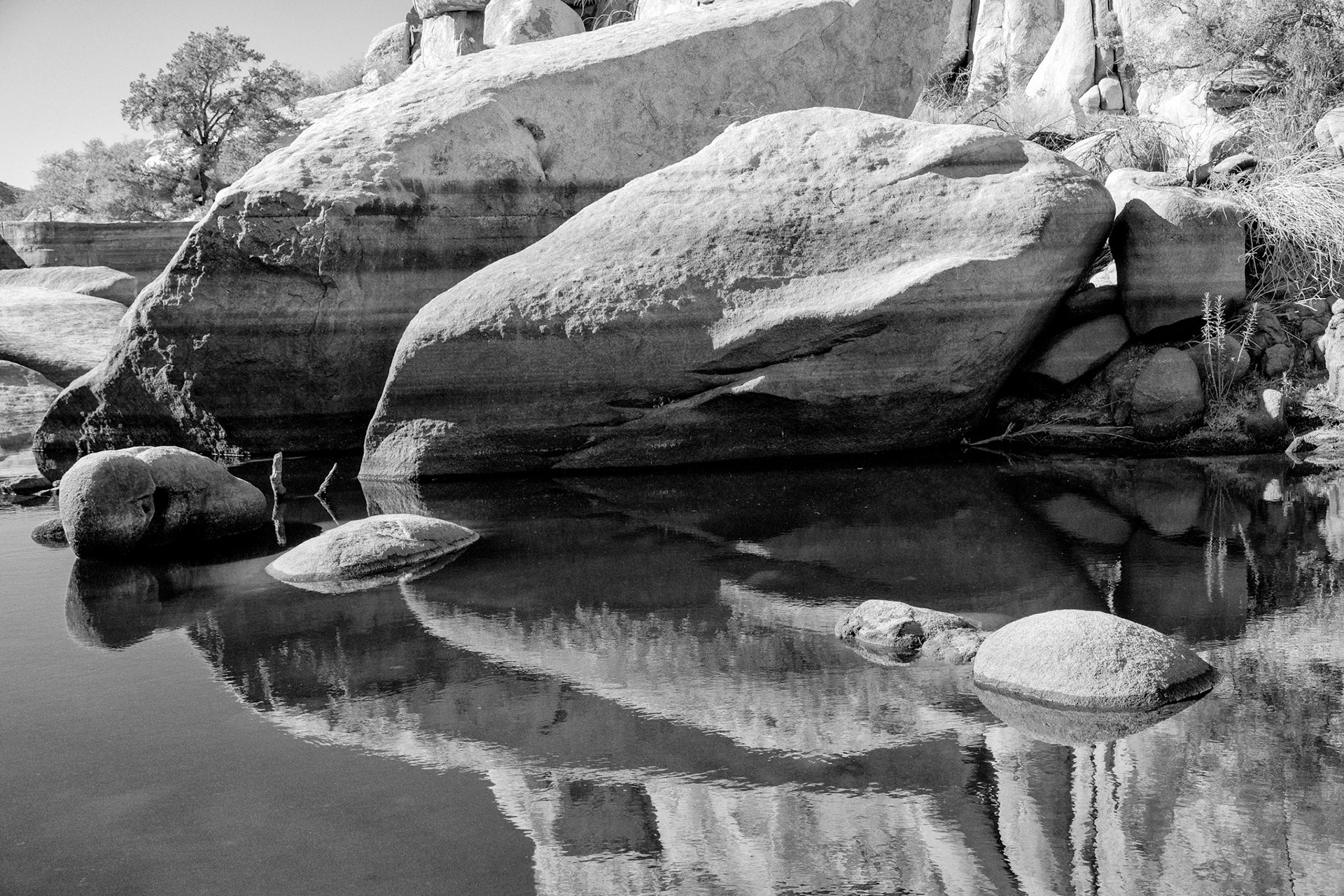 Black &amp; White Photos