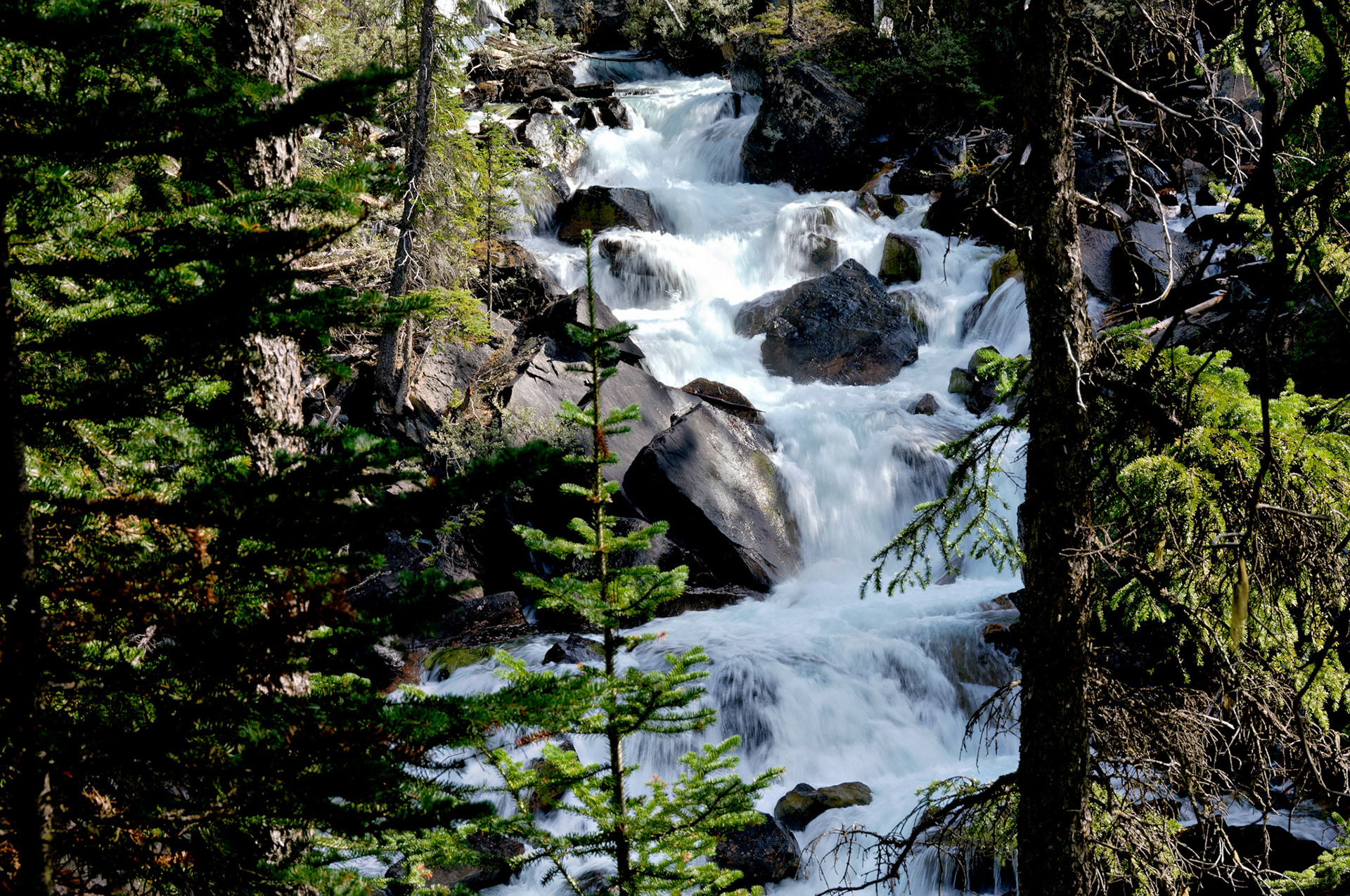 CN_20060803_0579_PS.dng