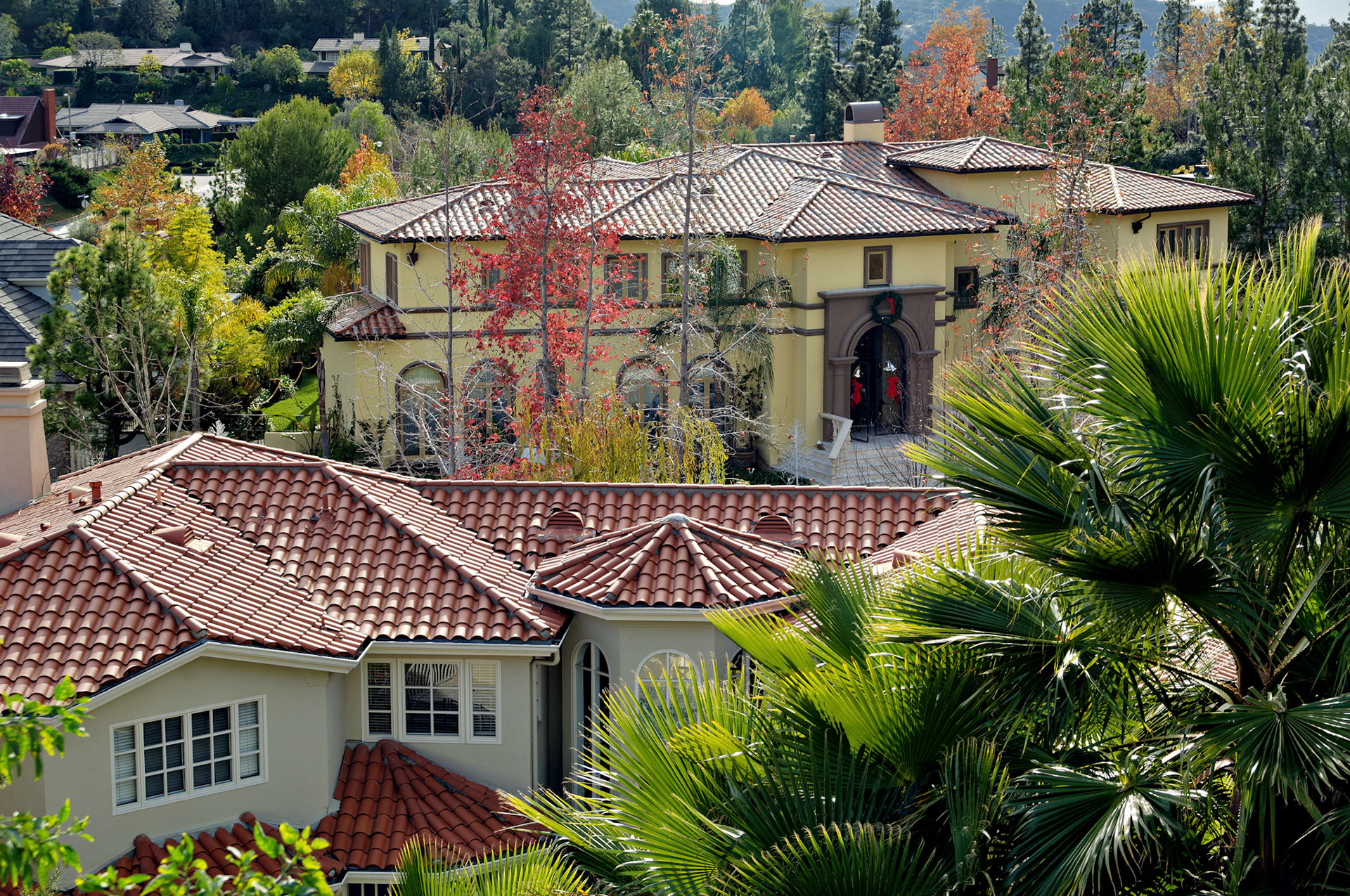 CA_LA_20051220_0301_PS.dng