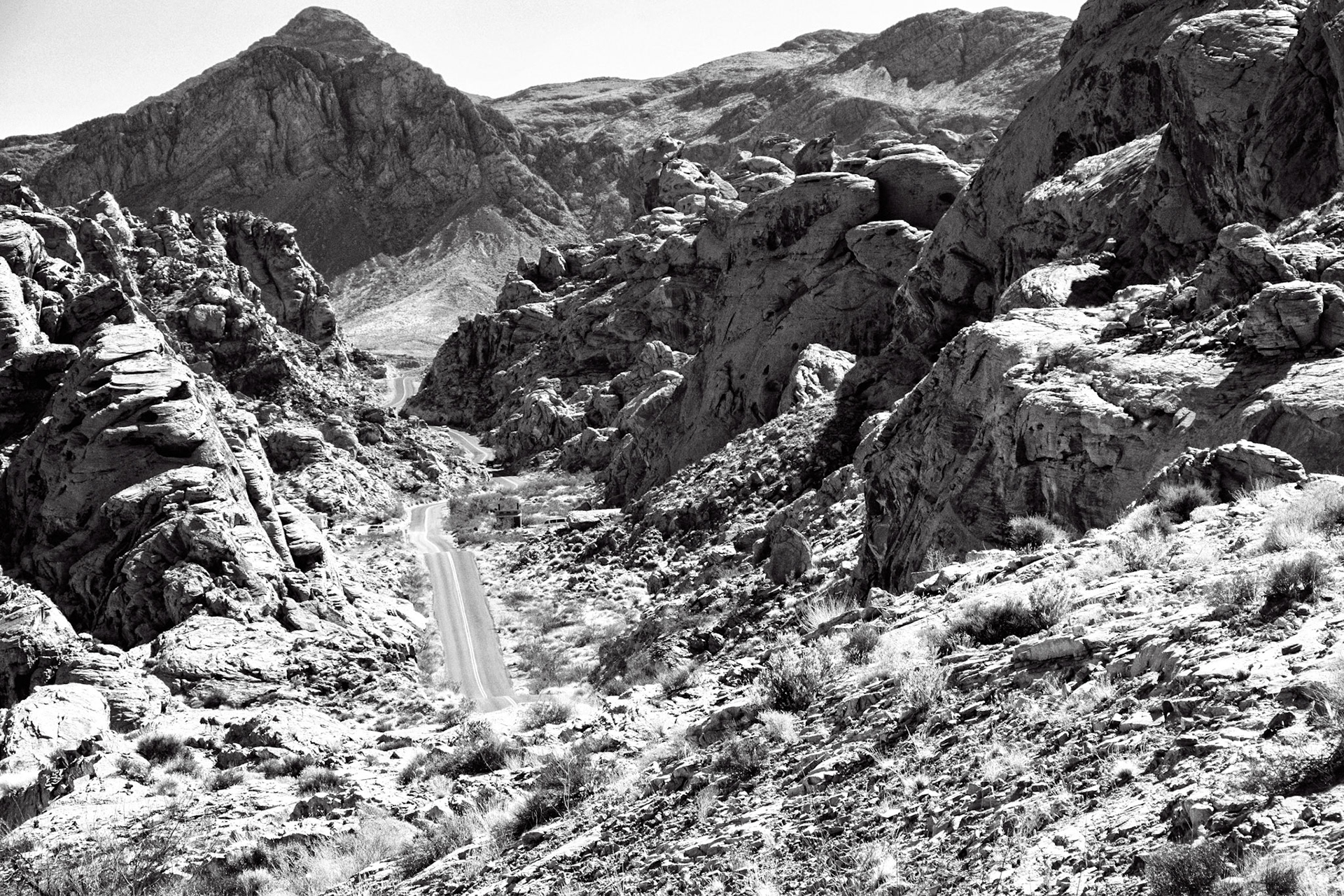 Black &amp; White 00199