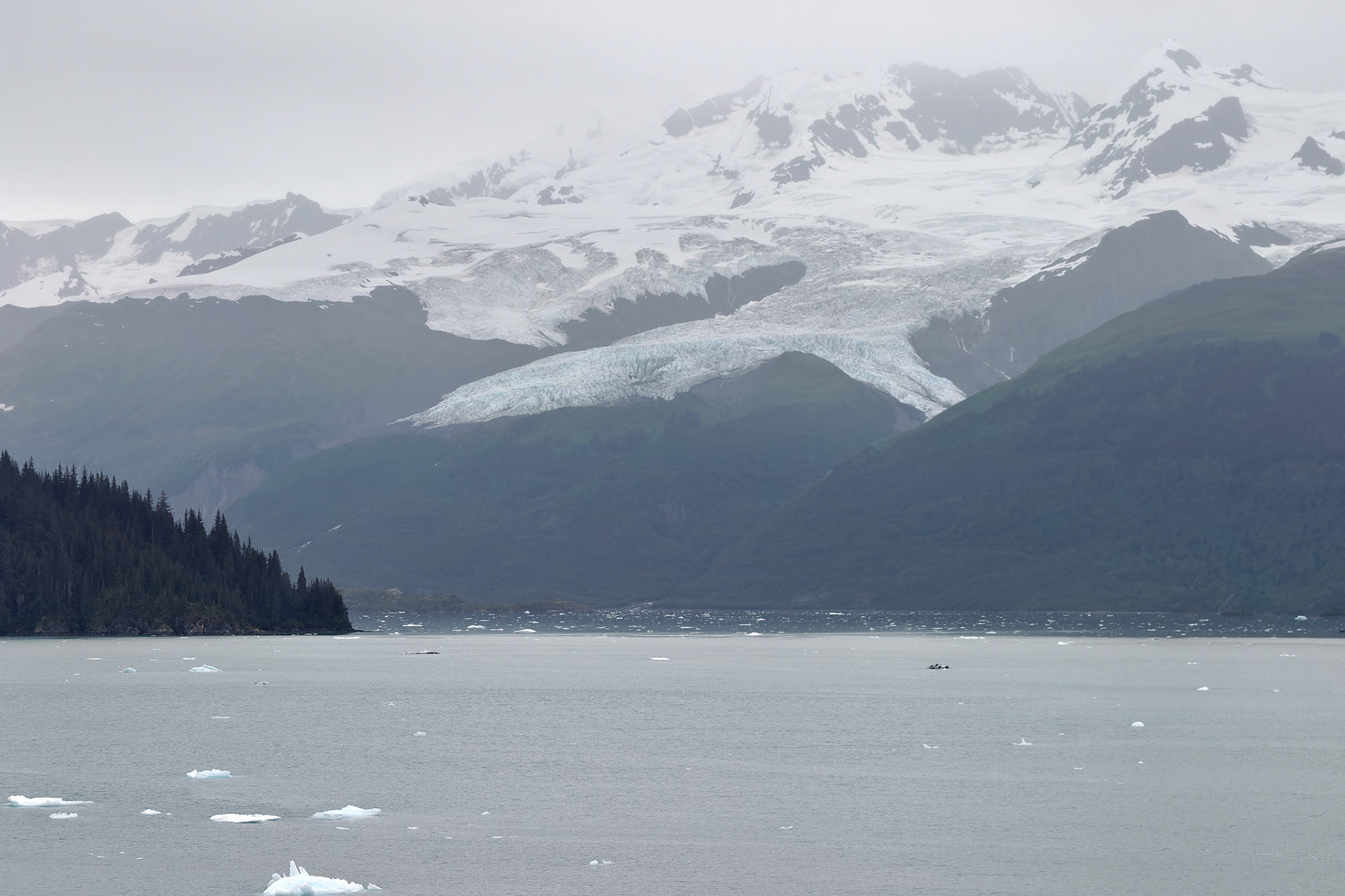 AK_20030803_0473_PS.dng