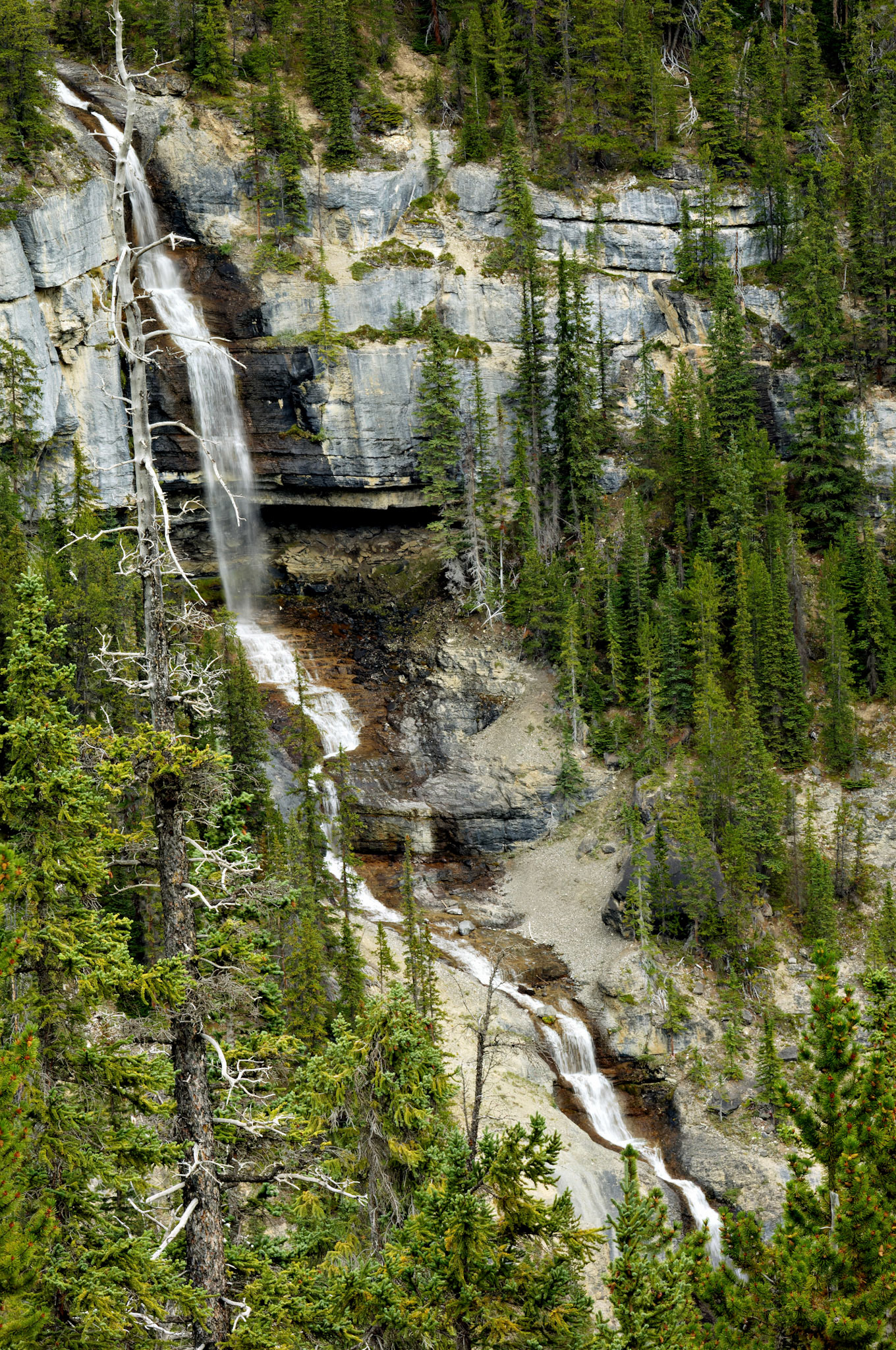 CN_20060802_0417_PS.dng