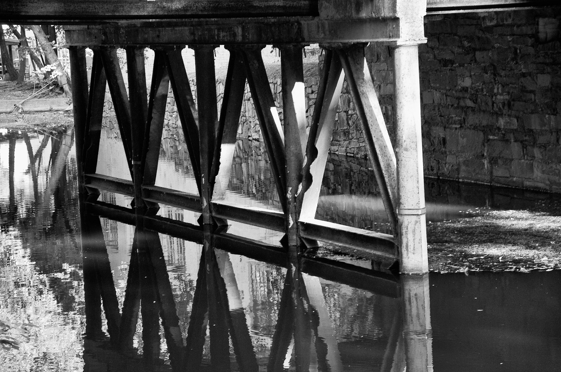 Black &amp; White Photos