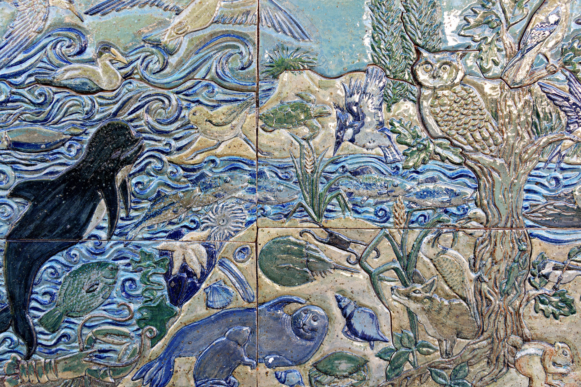 MA_CapeCod_20180724_0370_PS.dng